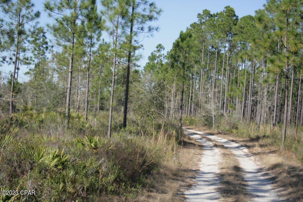 main property photo 36