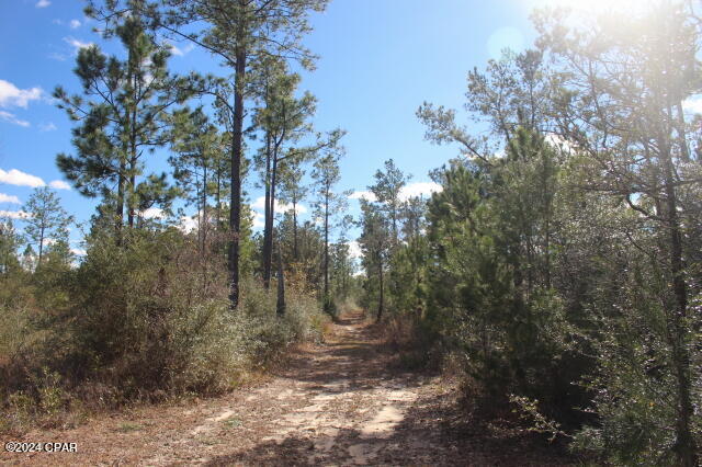 main property photo 7