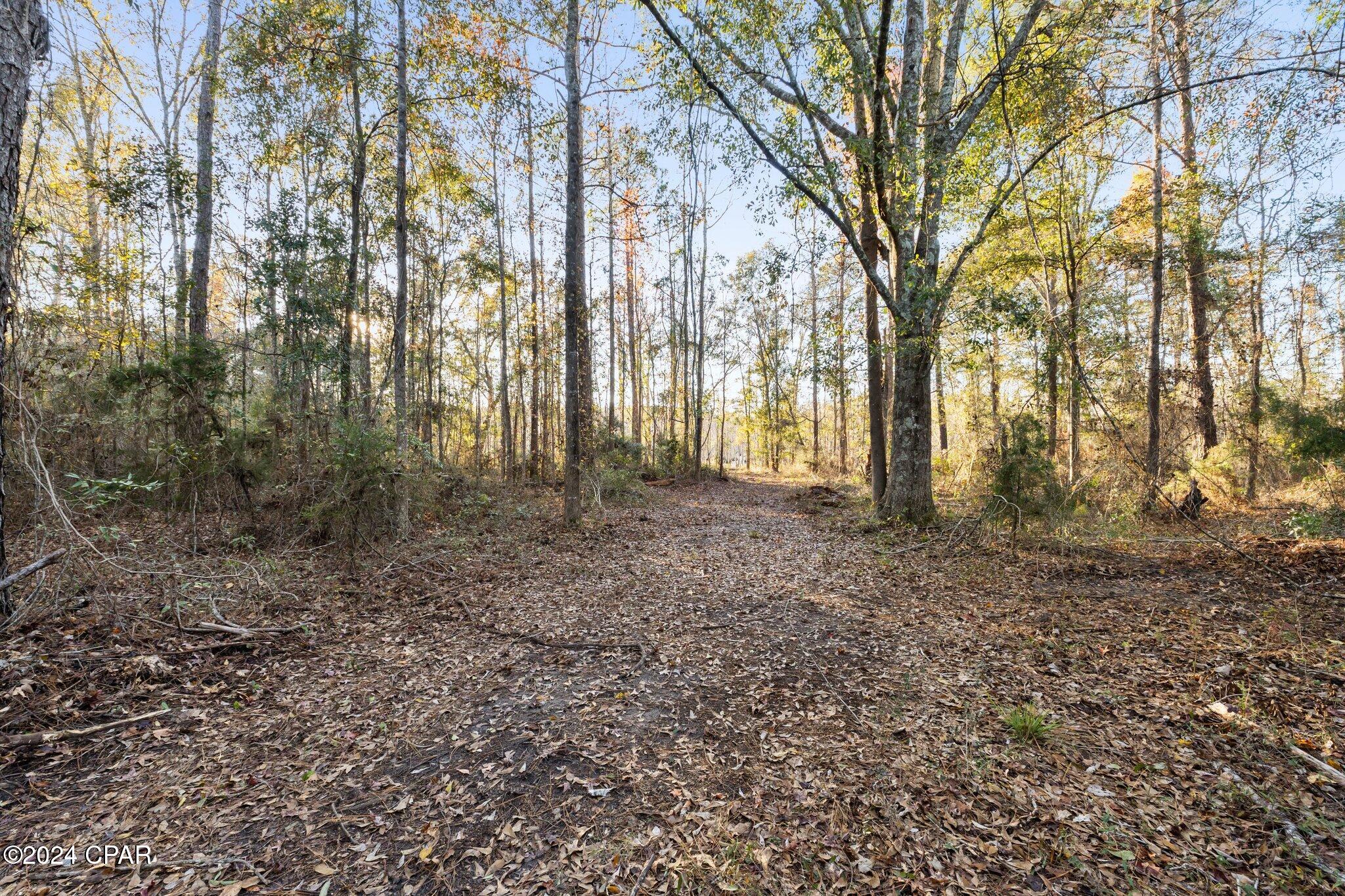 main property photo 11