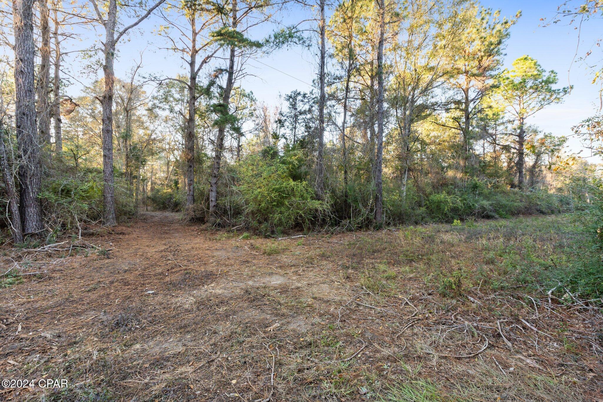 main property photo 16
