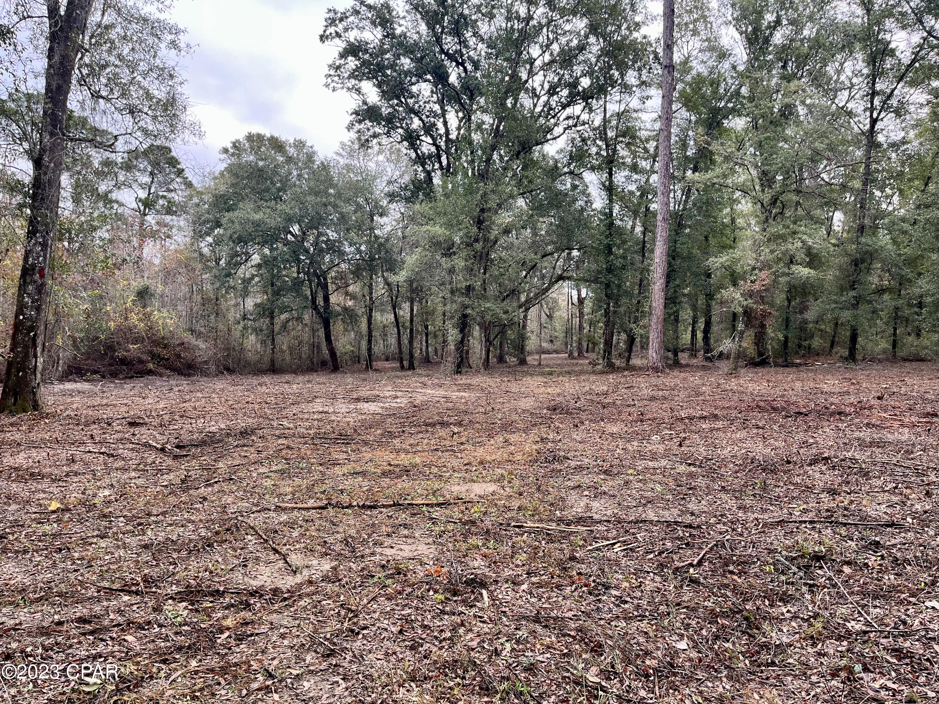 main property photo 27
