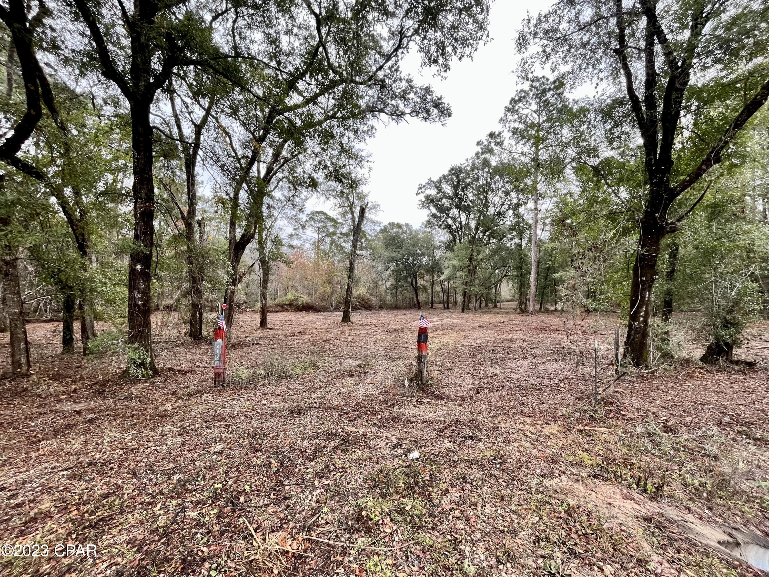 main property photo 32