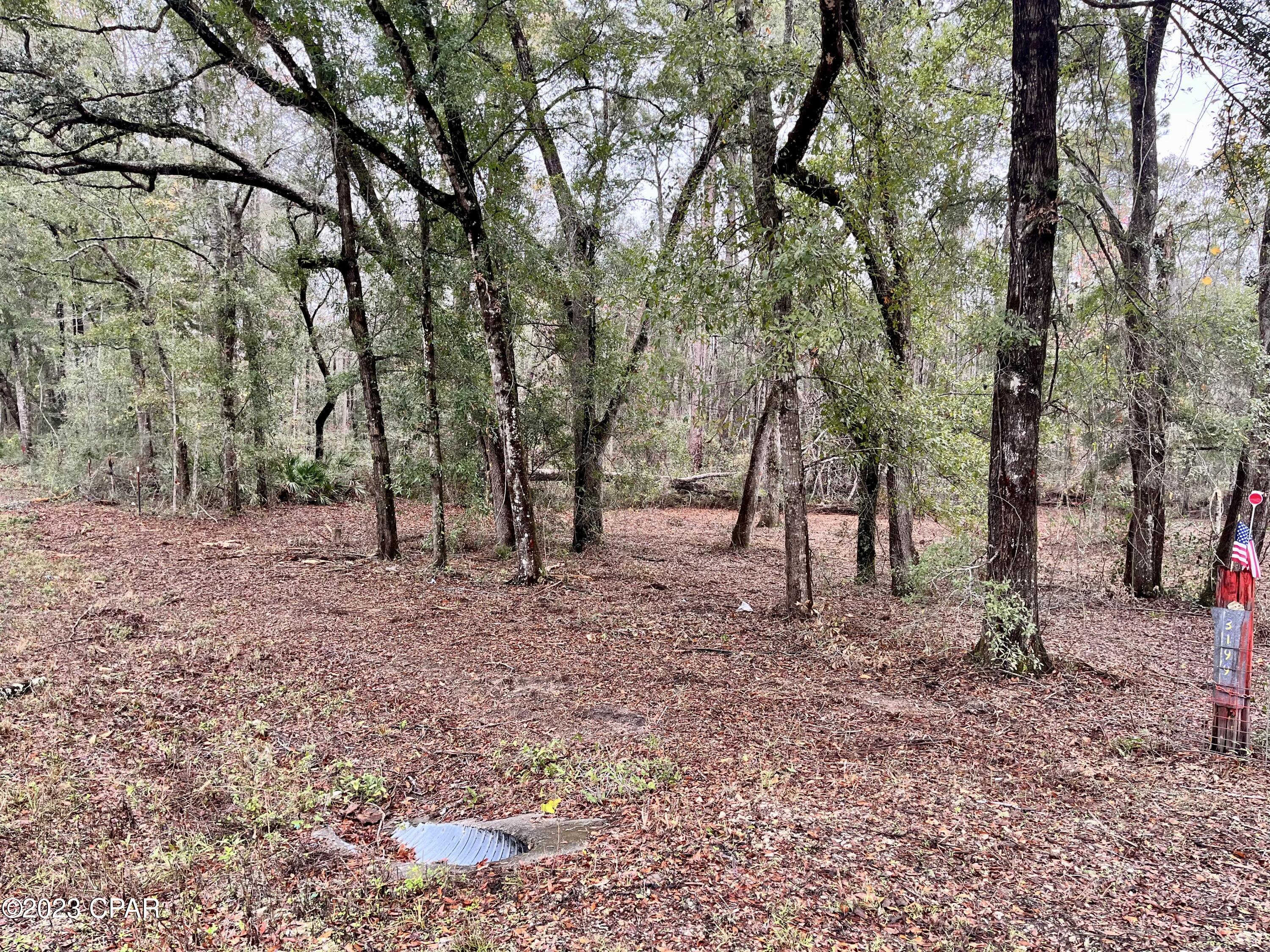 main property photo 35