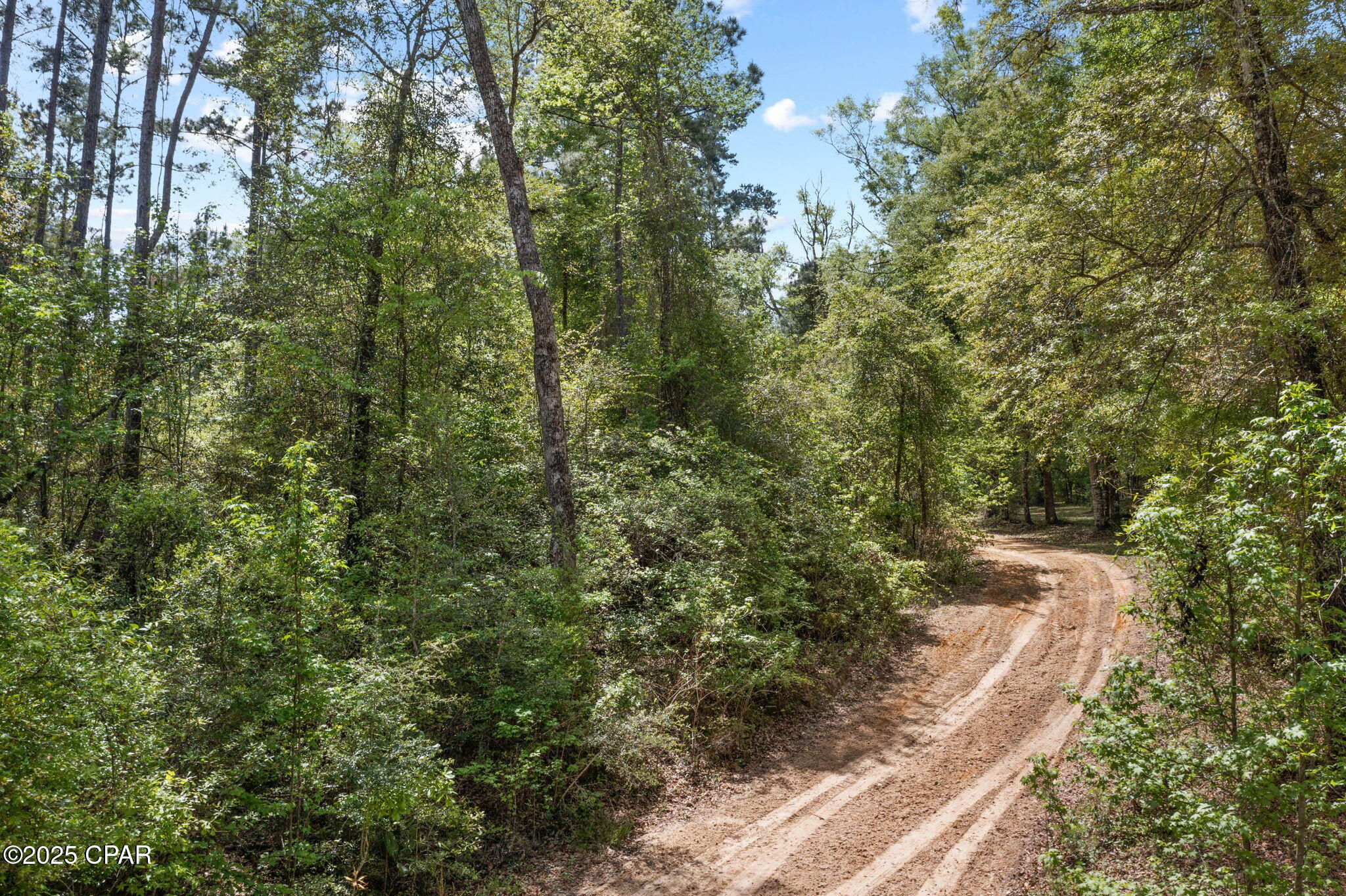 main property photo 14
