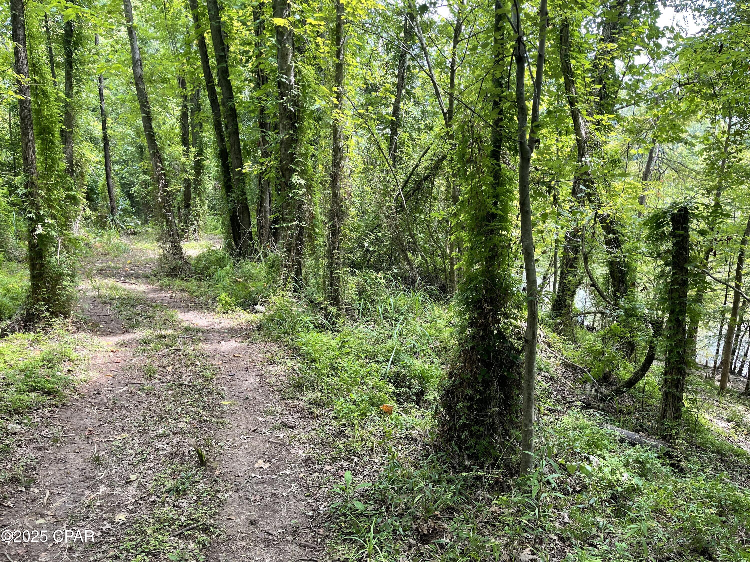 main property photo 23