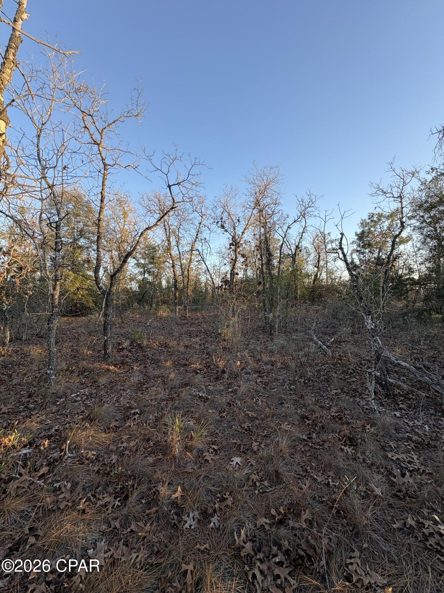 main property photo 8