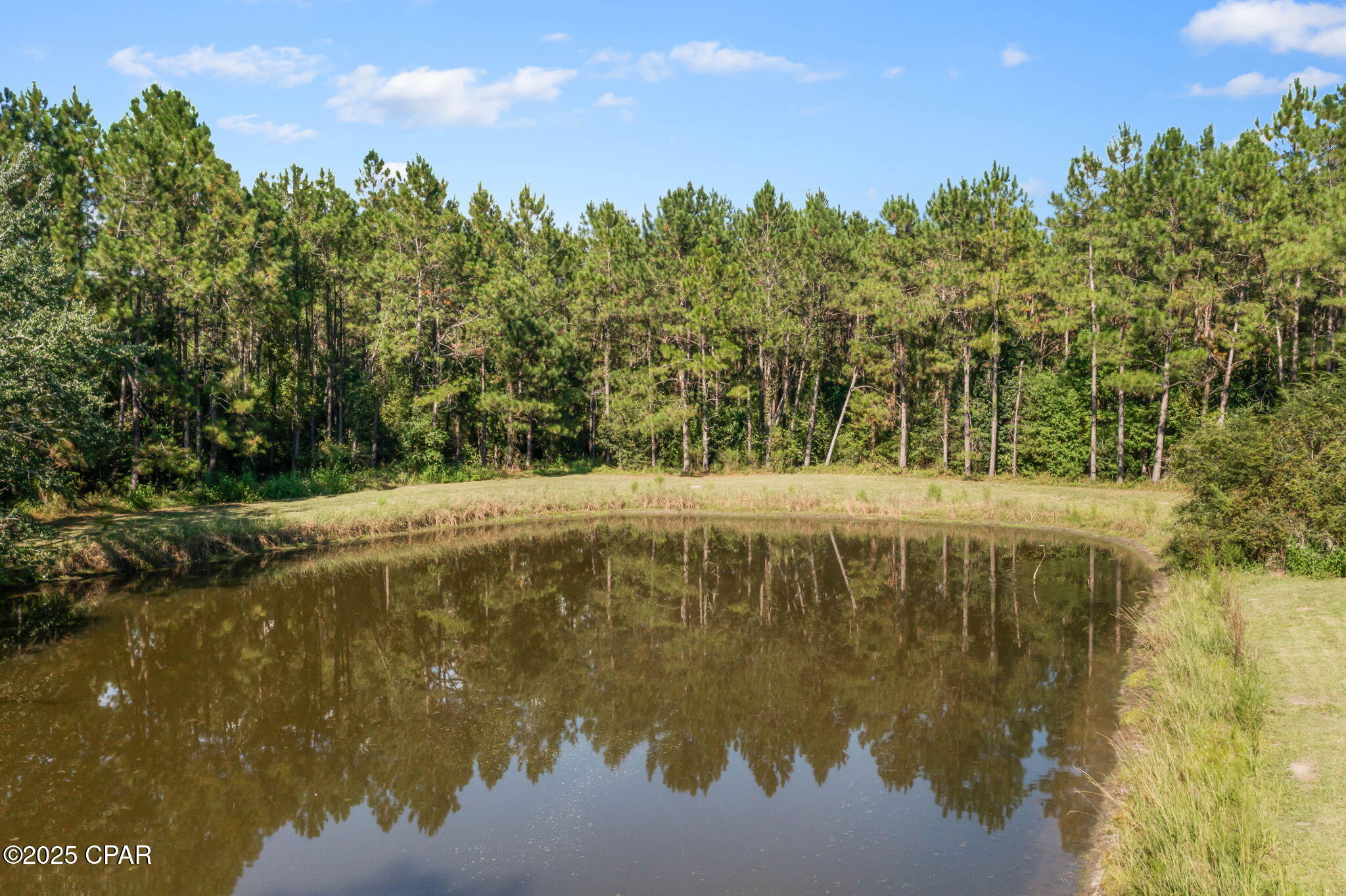 main property photo 83