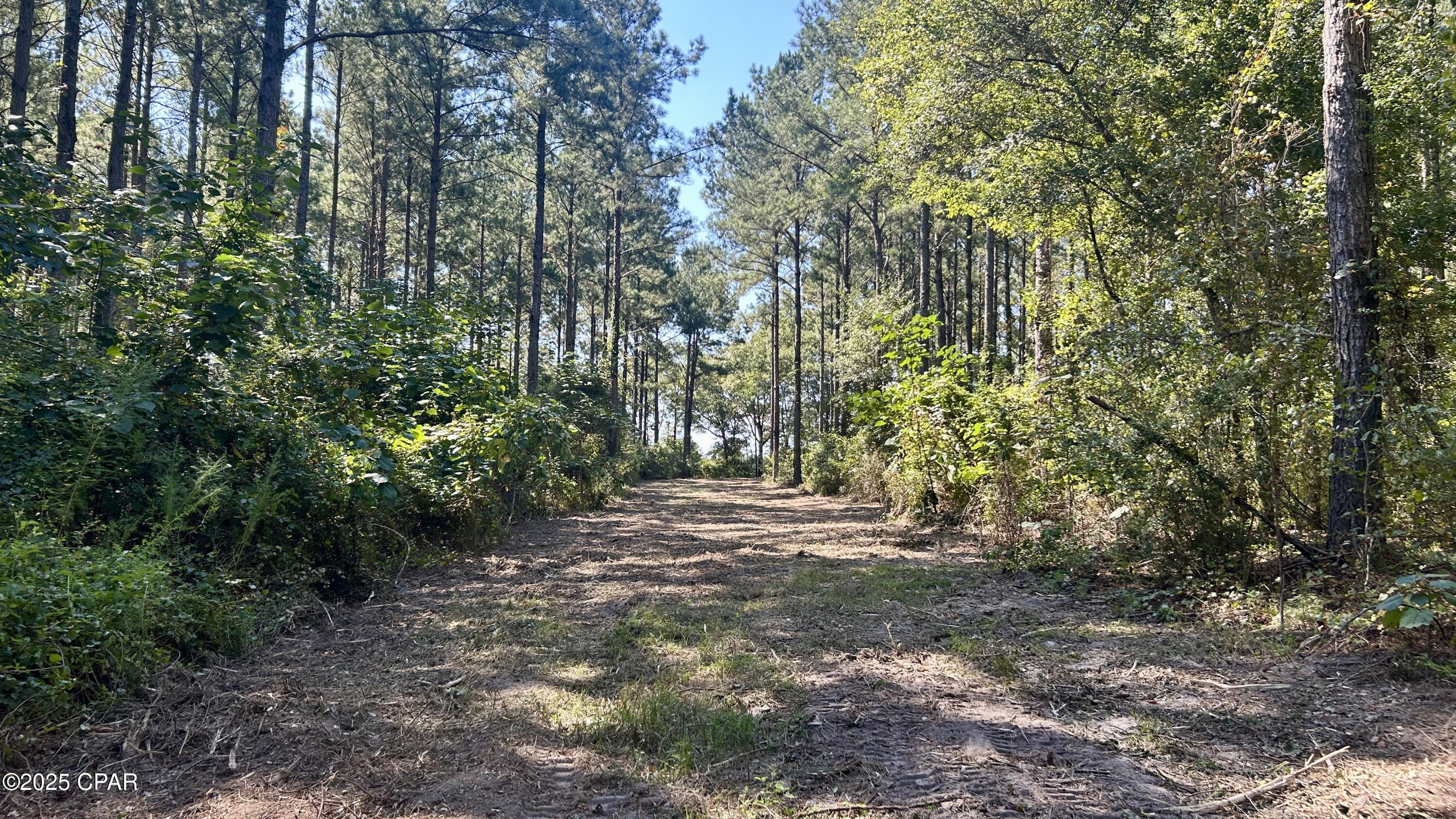 main property photo 11