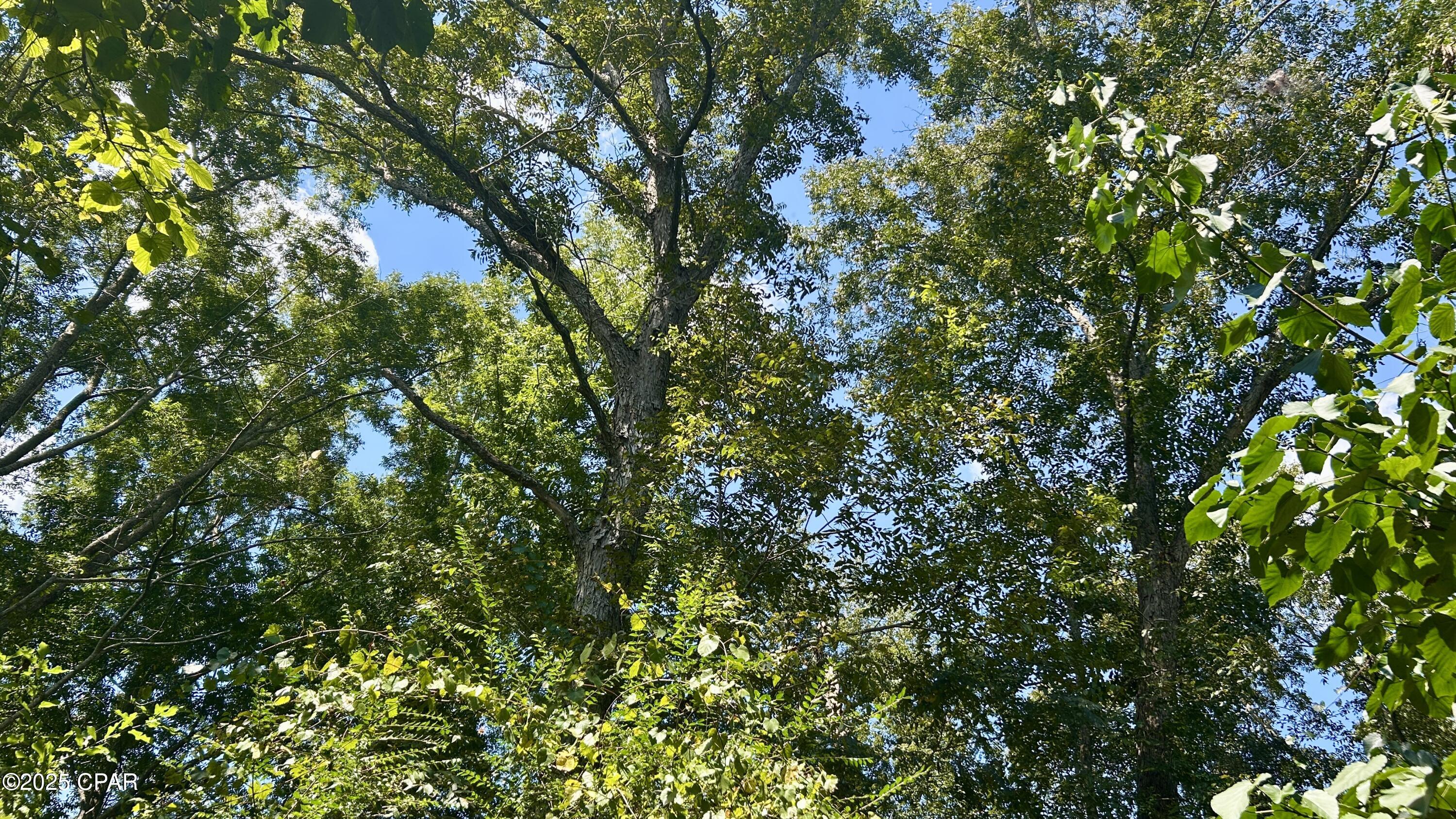 main property photo 40
