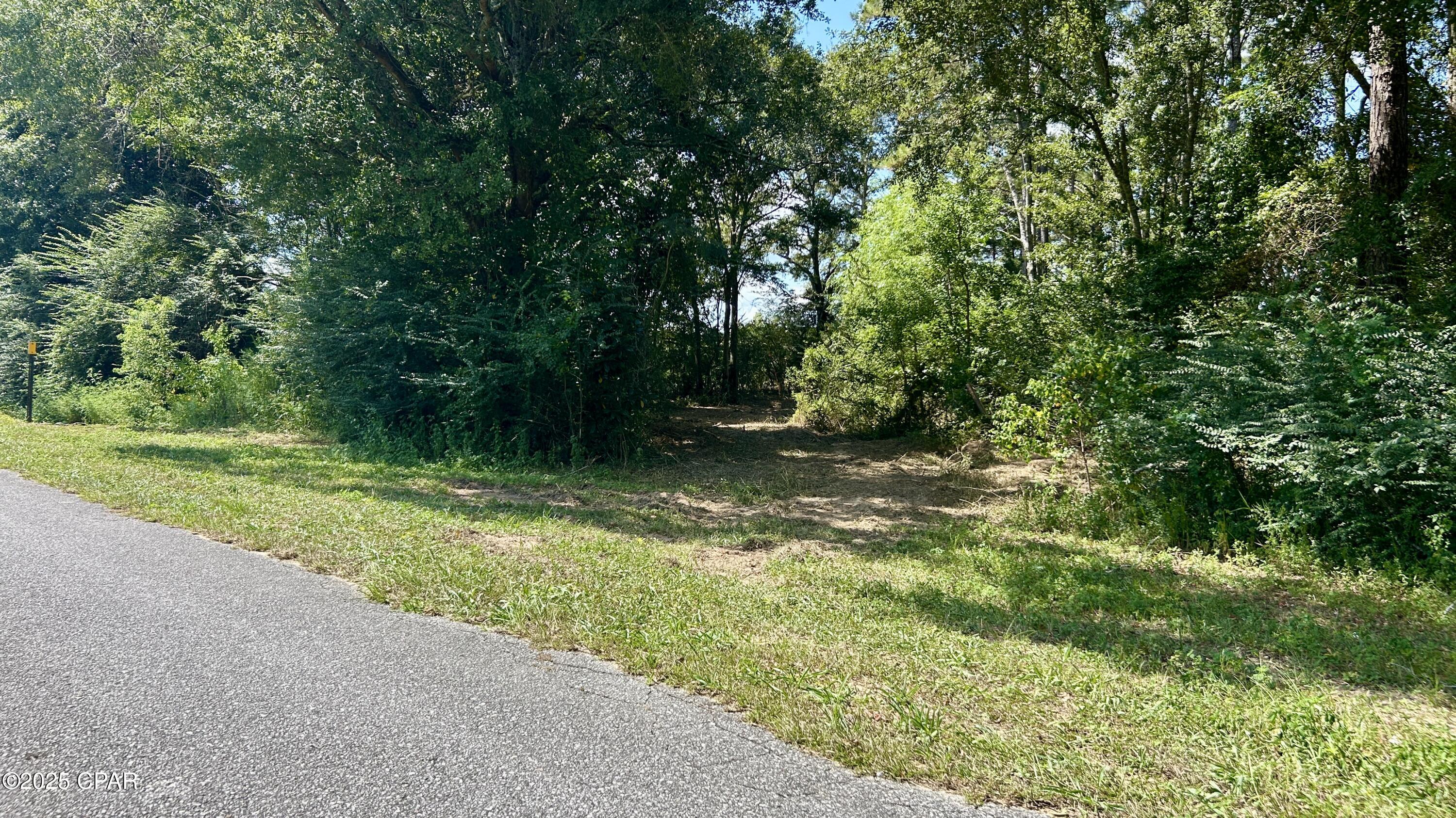 main property photo 42