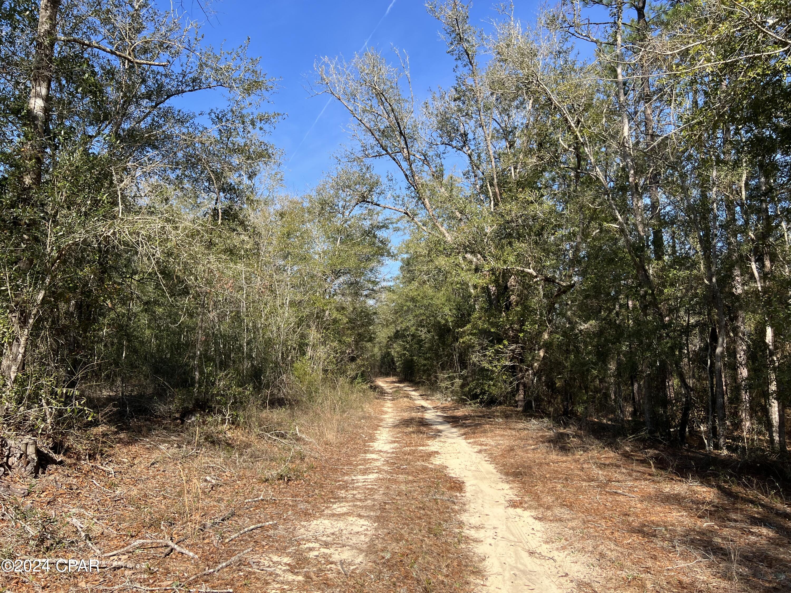 main property photo 11