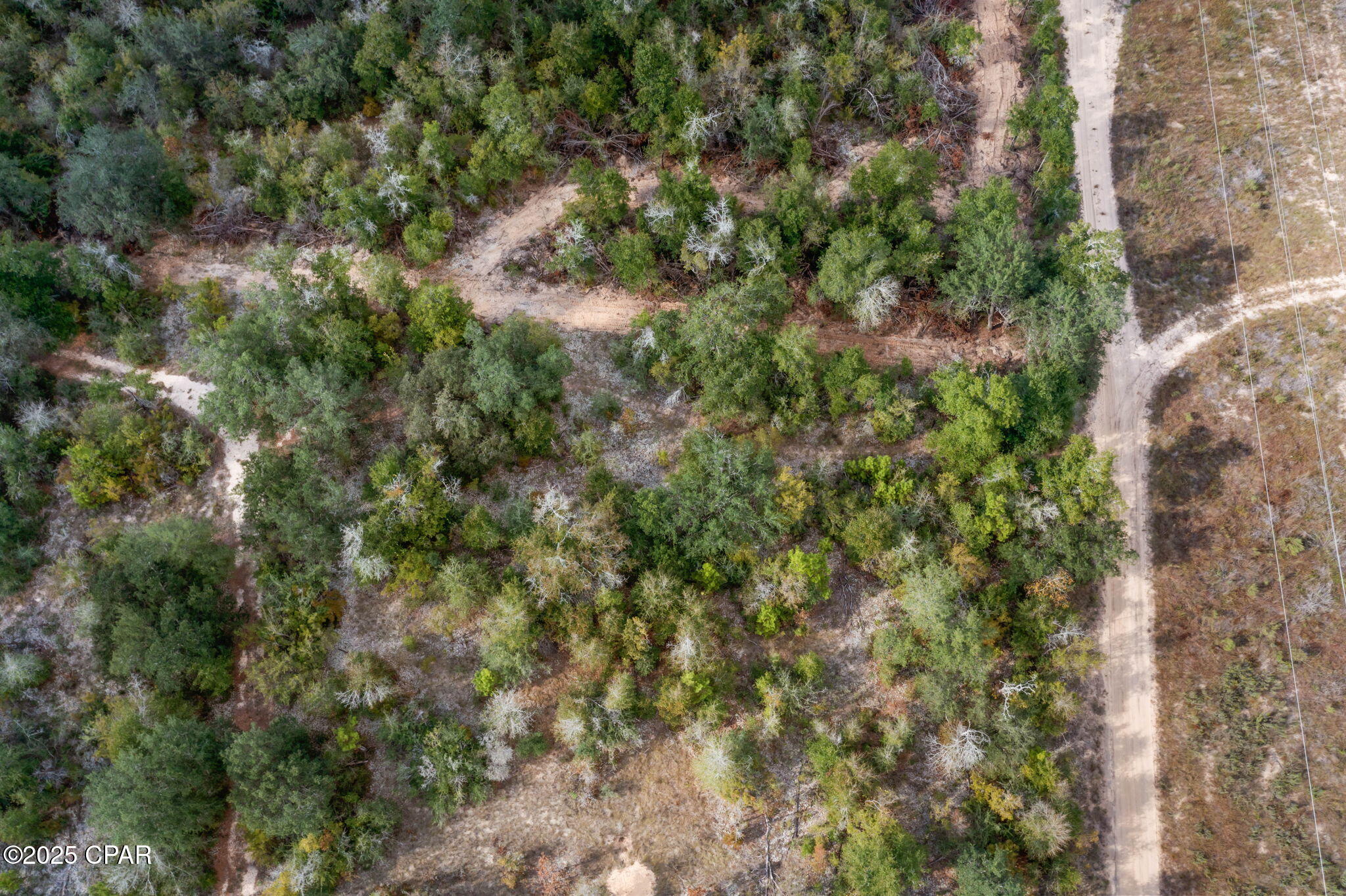 main property photo 20