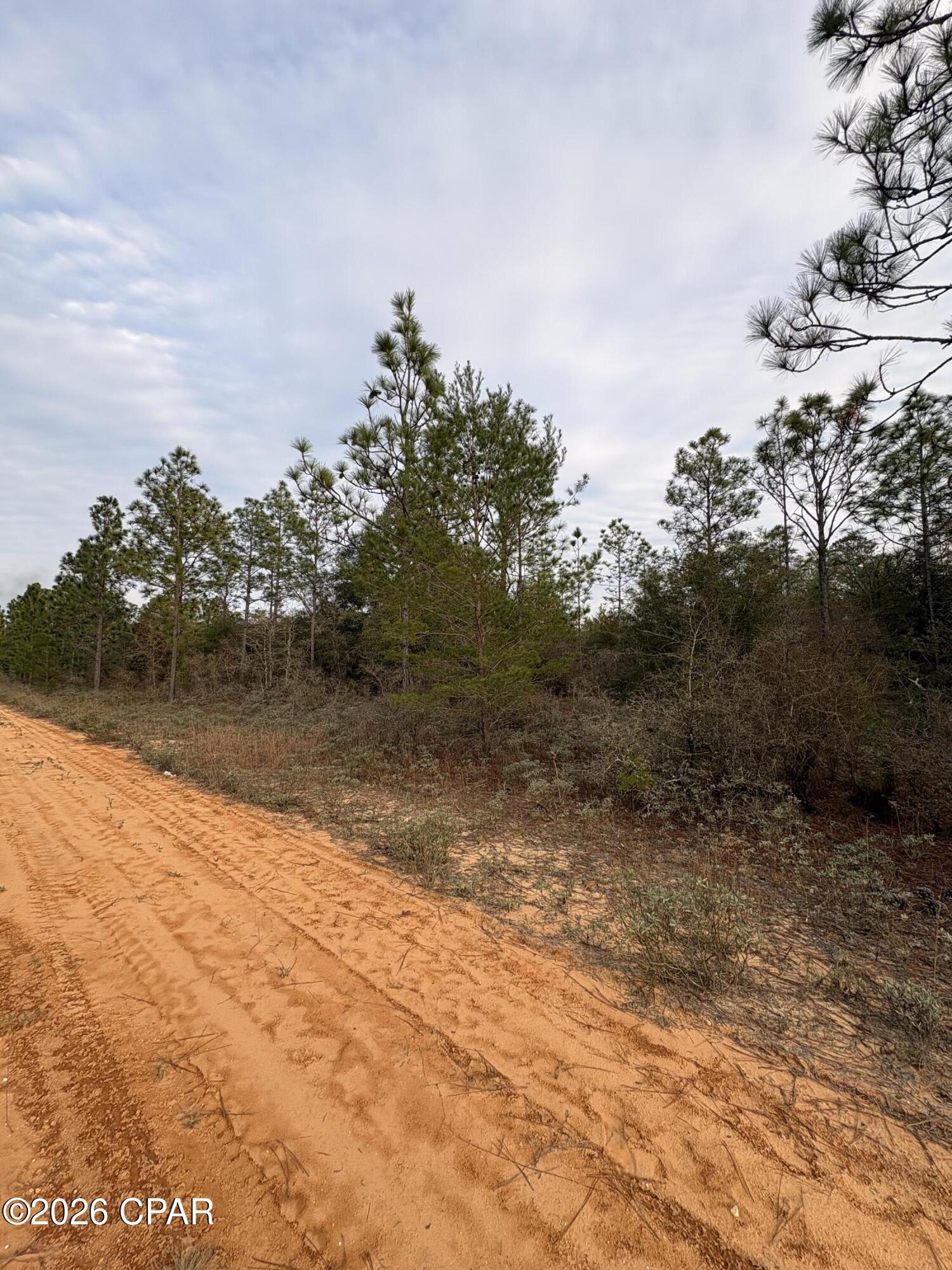 main property photo 28