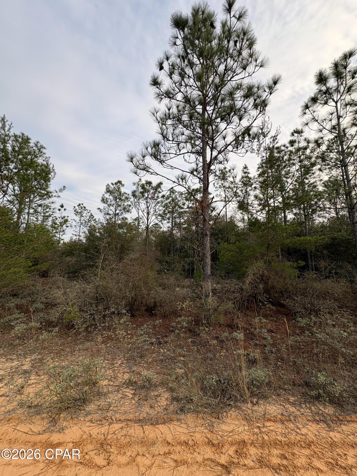 main property photo 30