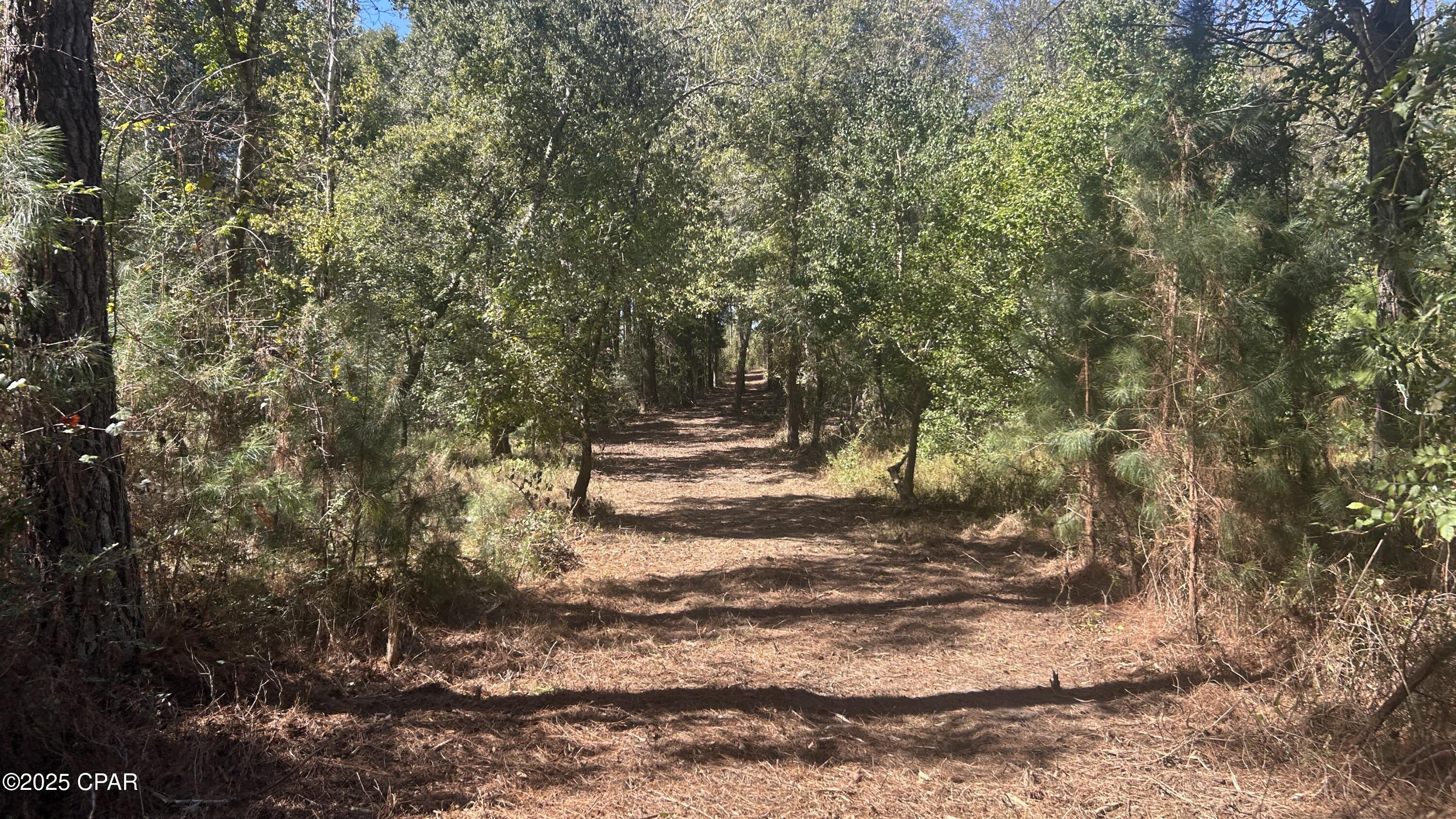 main property photo 11