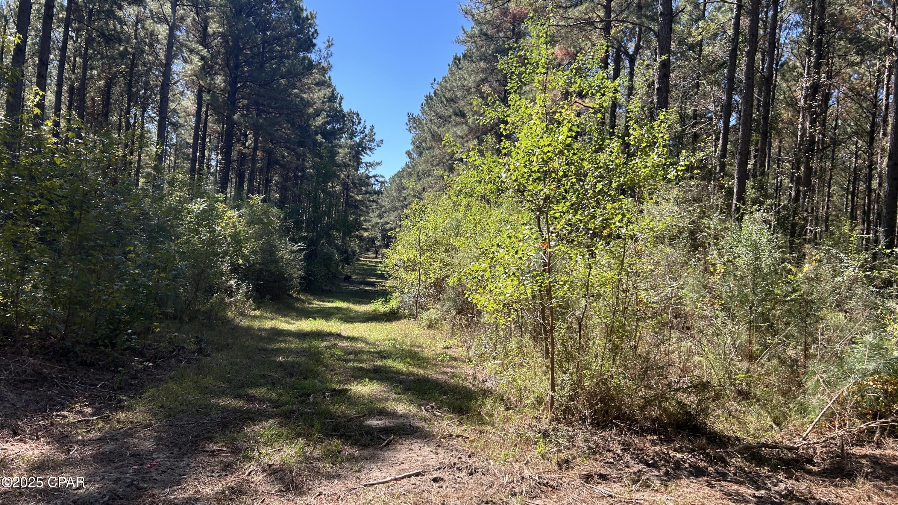 main property photo 25