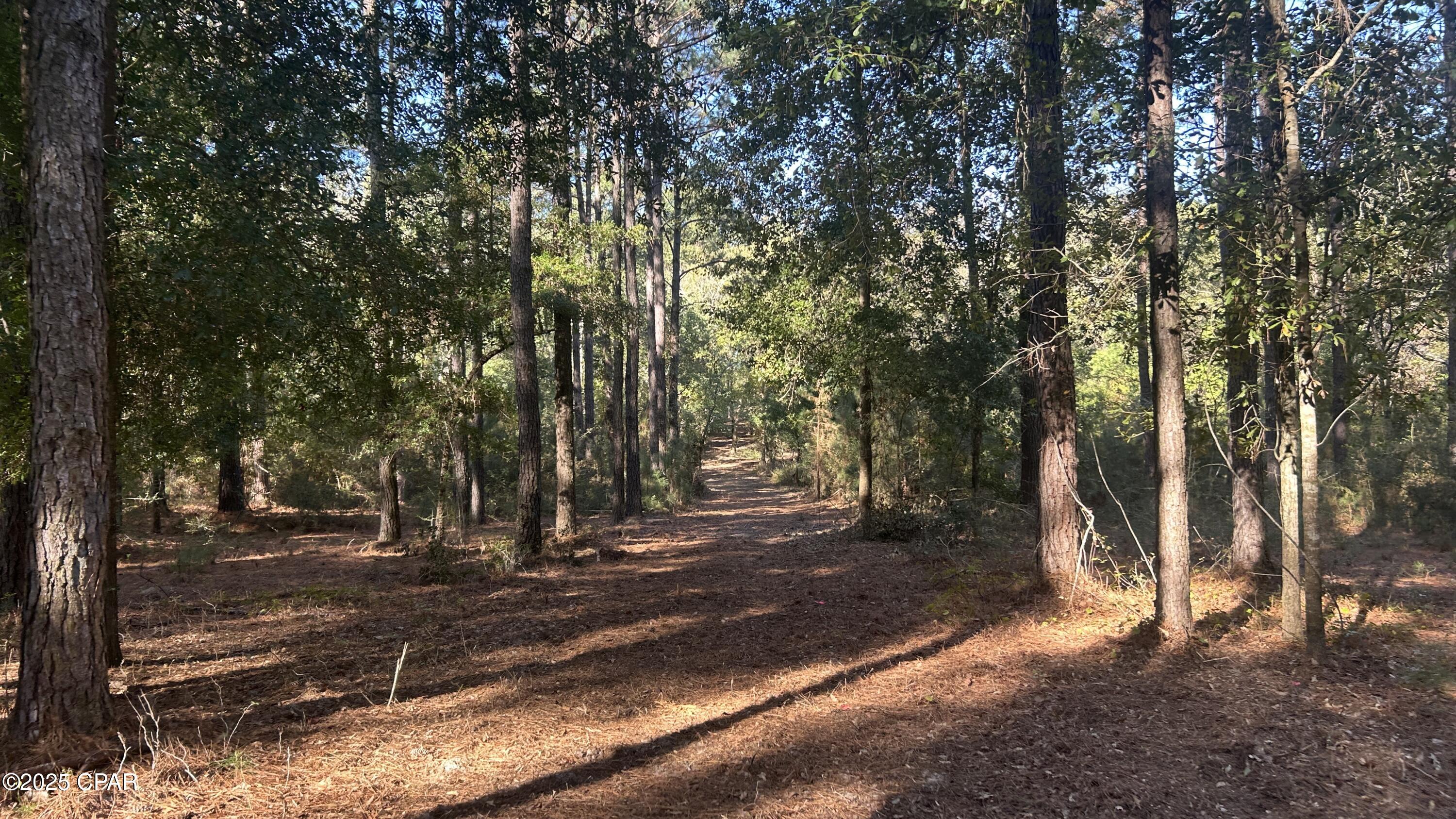 main property photo 26
