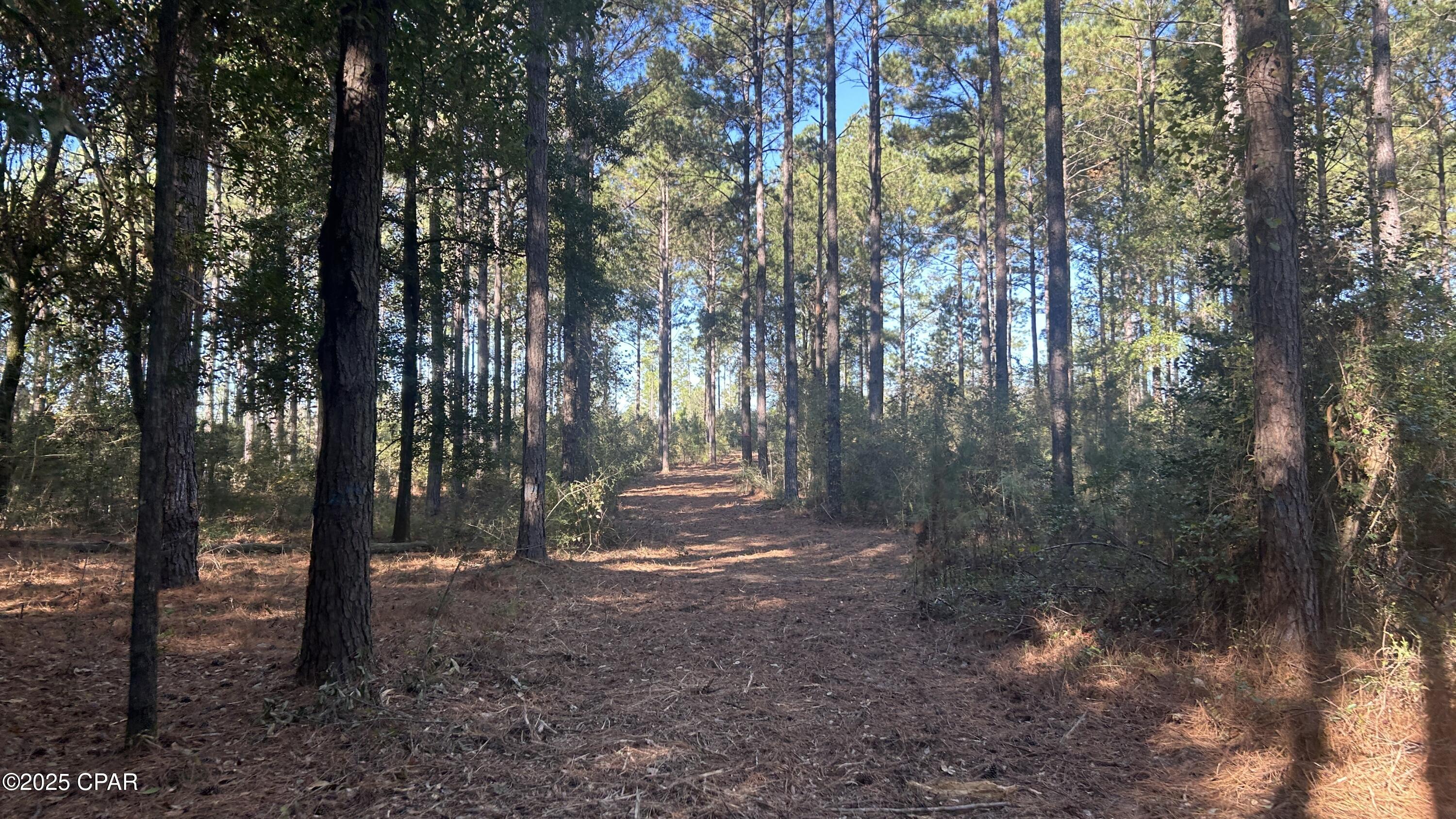 main property photo 36