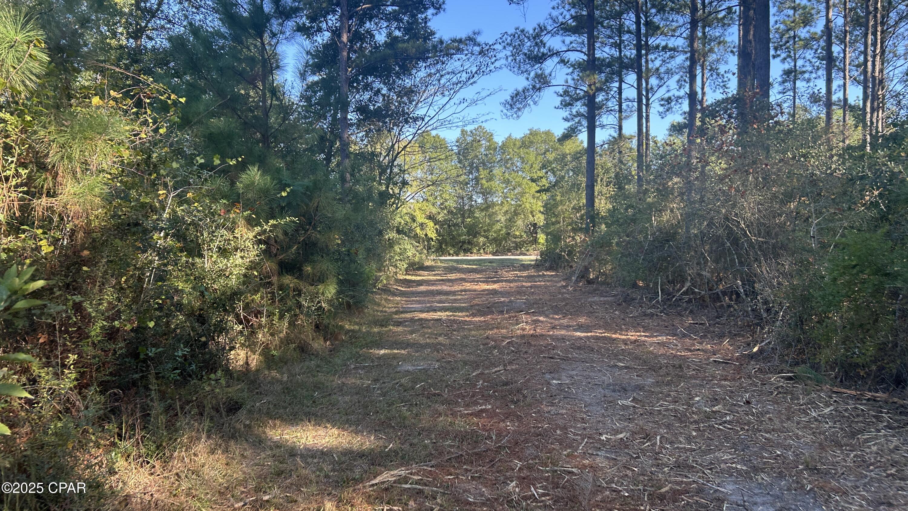 main property photo 37