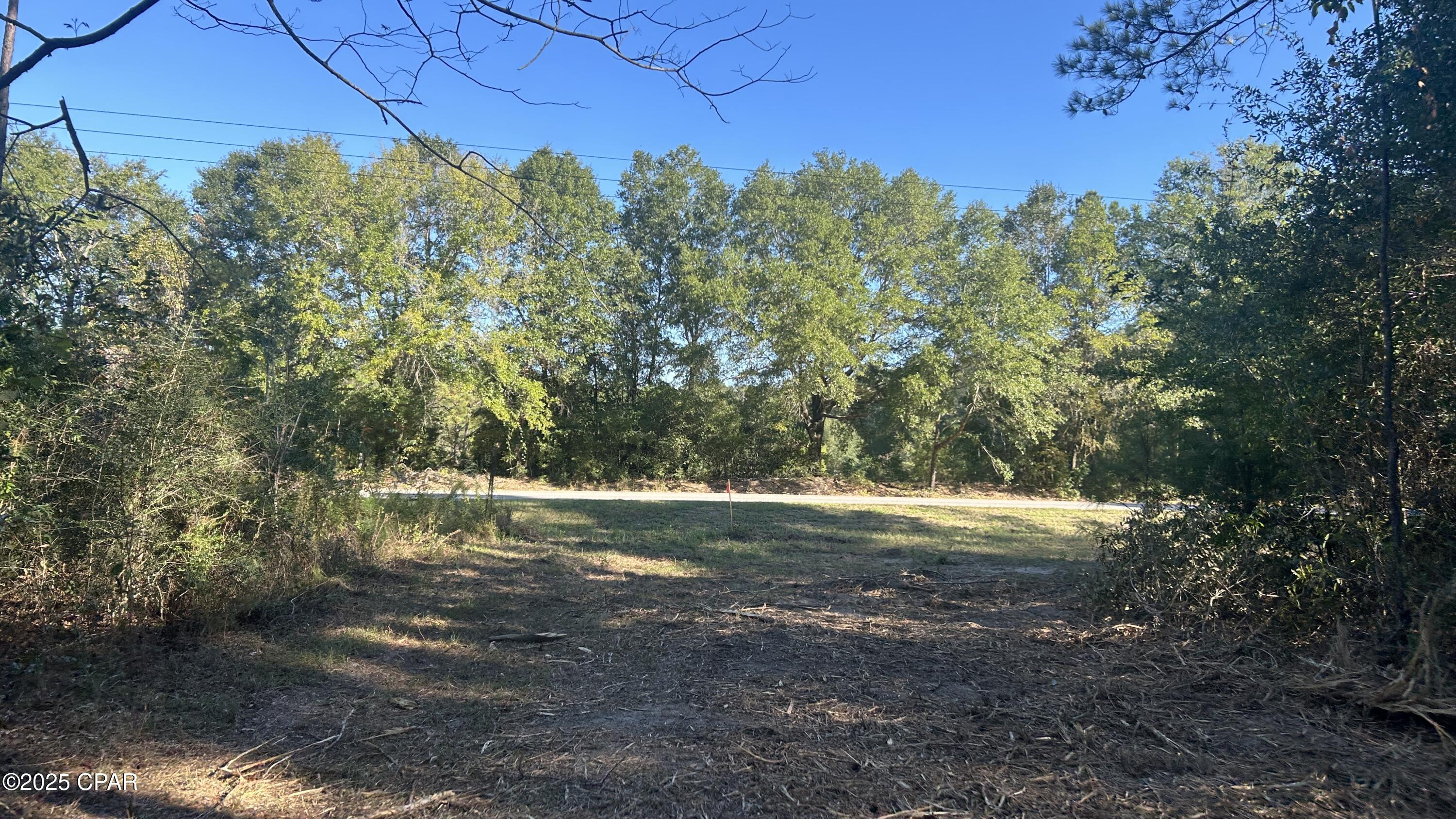 main property photo 38
