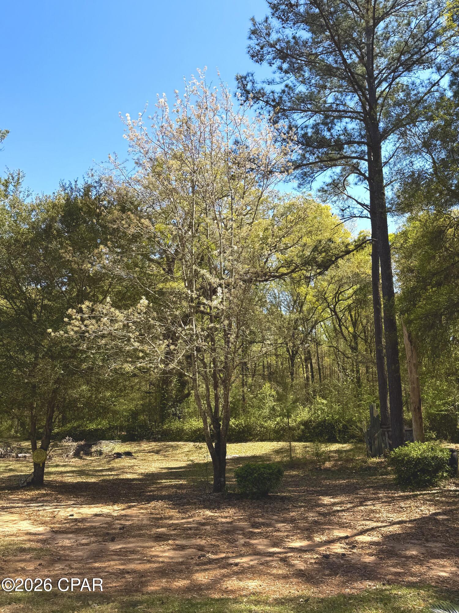 main property photo 42