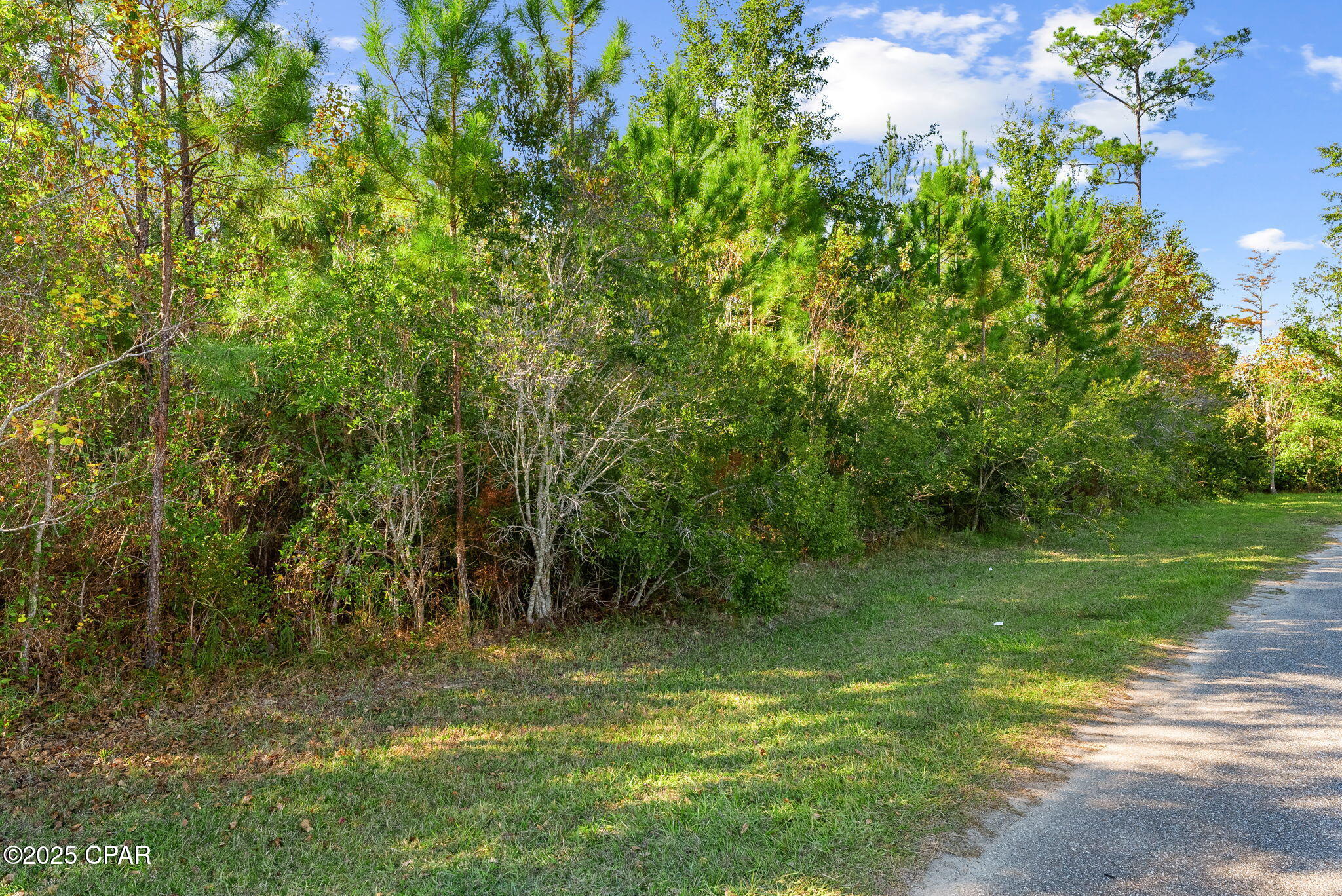 main property photo 19