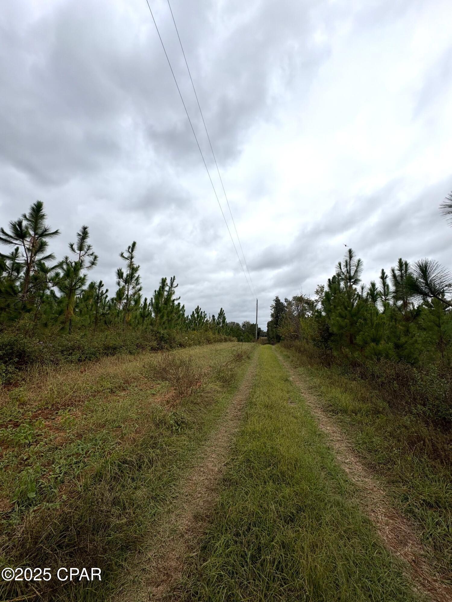 main property photo 11