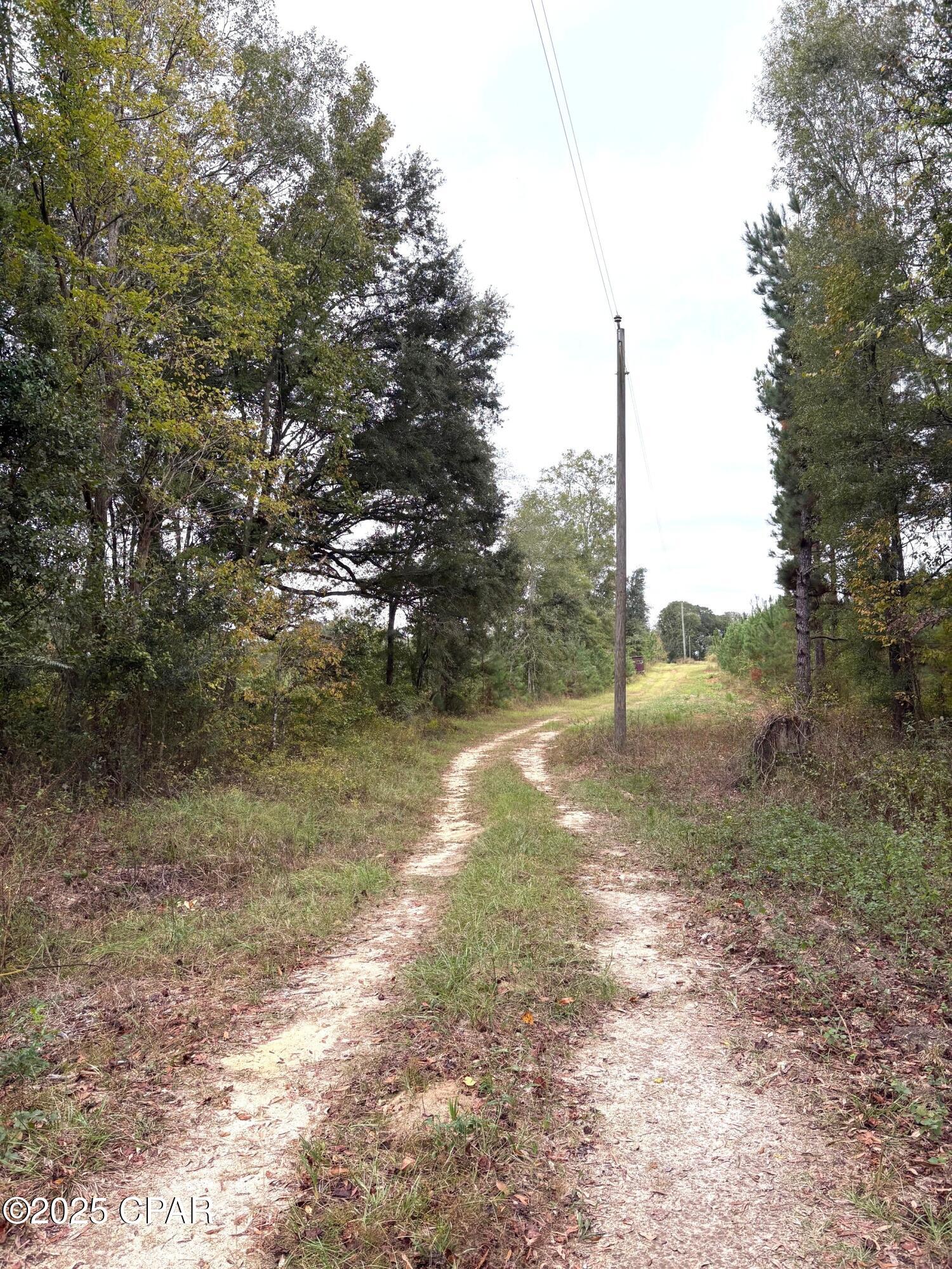 main property photo 20
