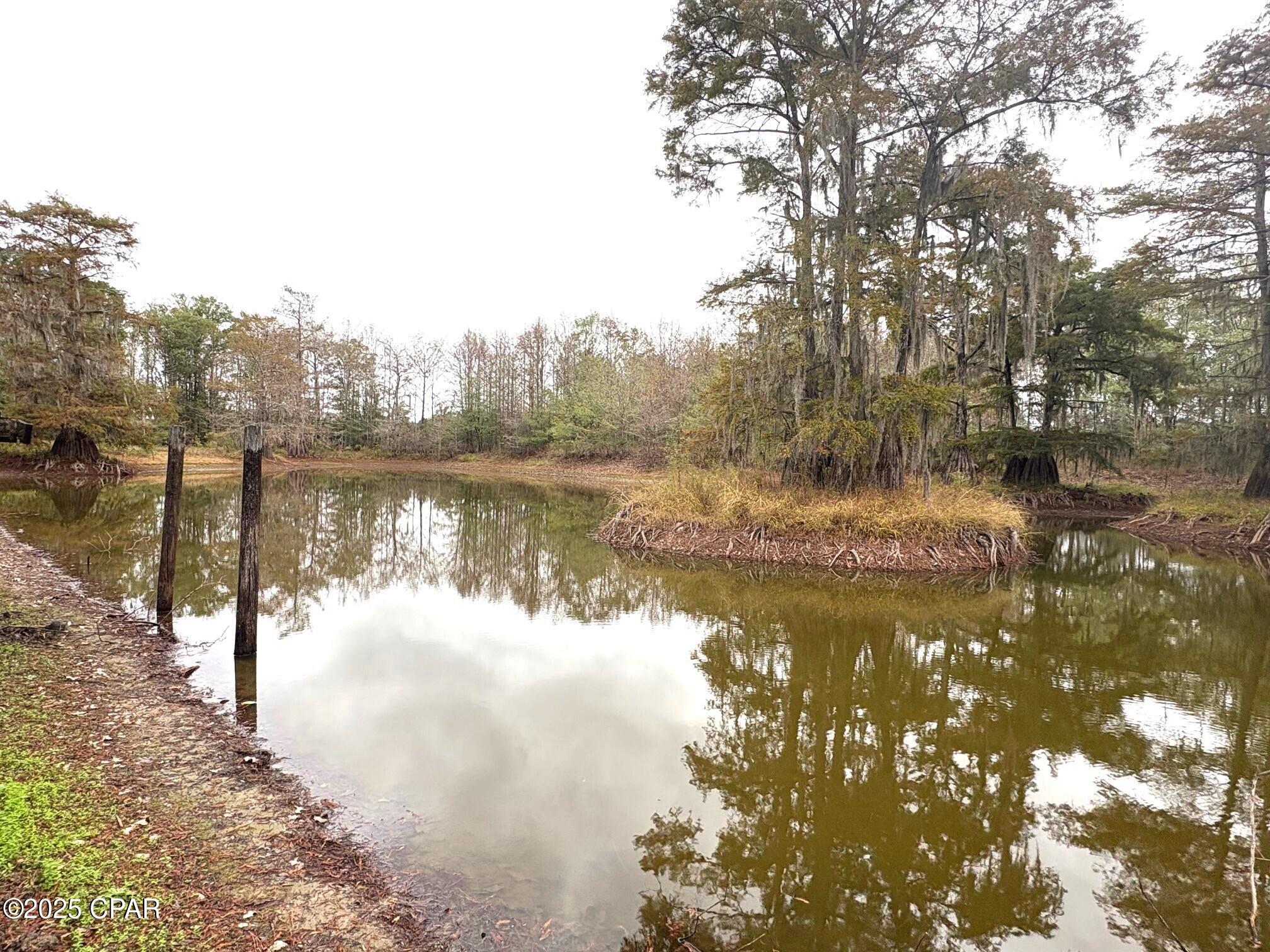 main property photo 63