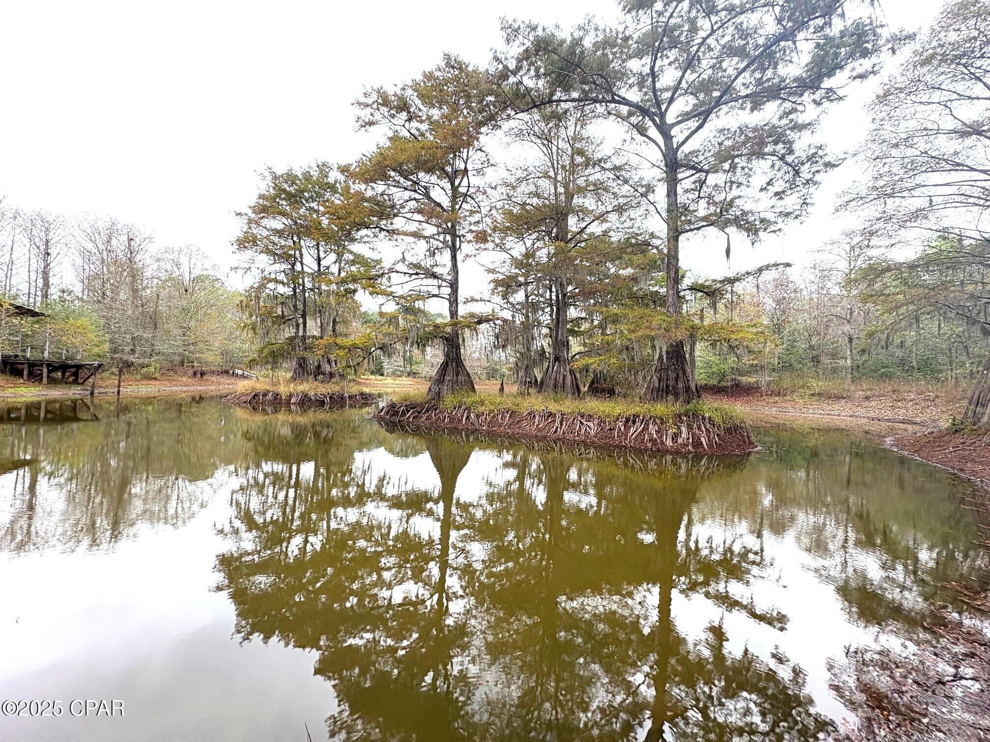 main property photo 64