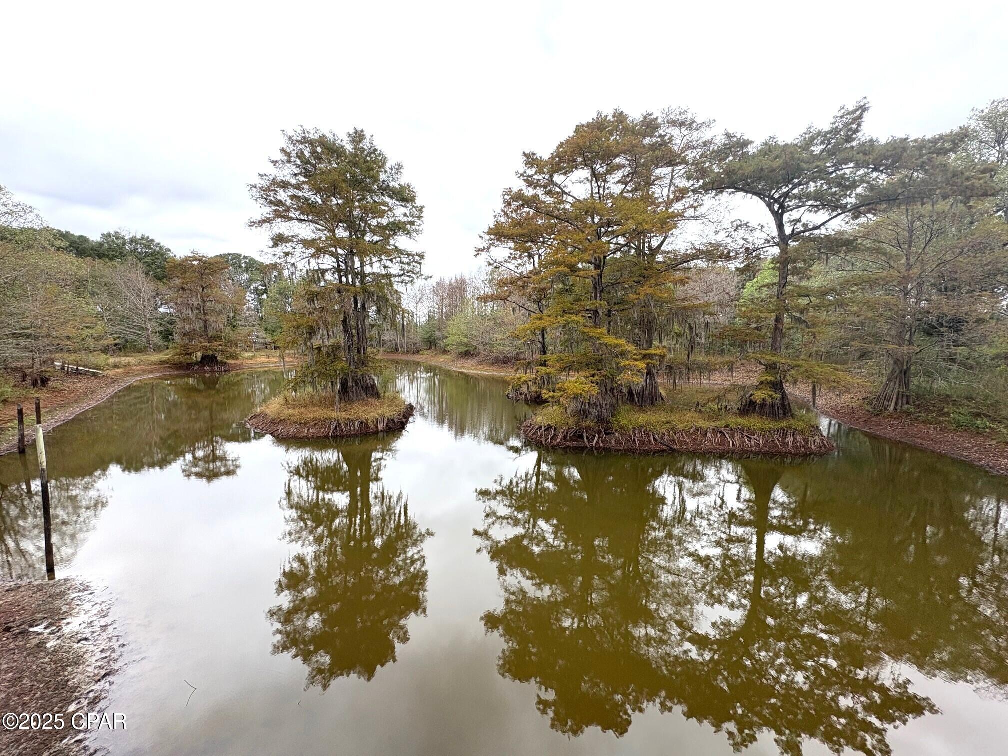 main property photo 65
