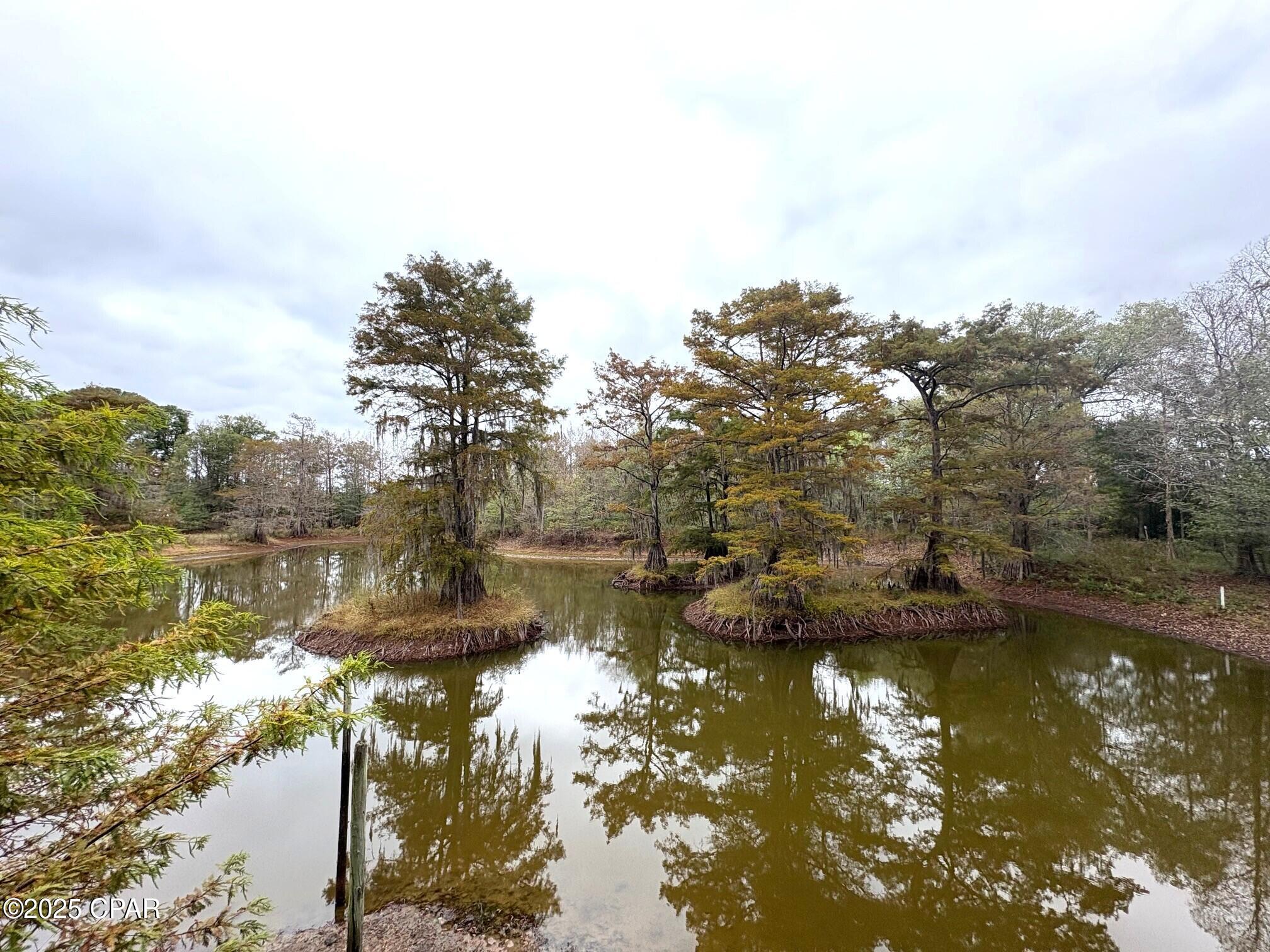 main property photo 66