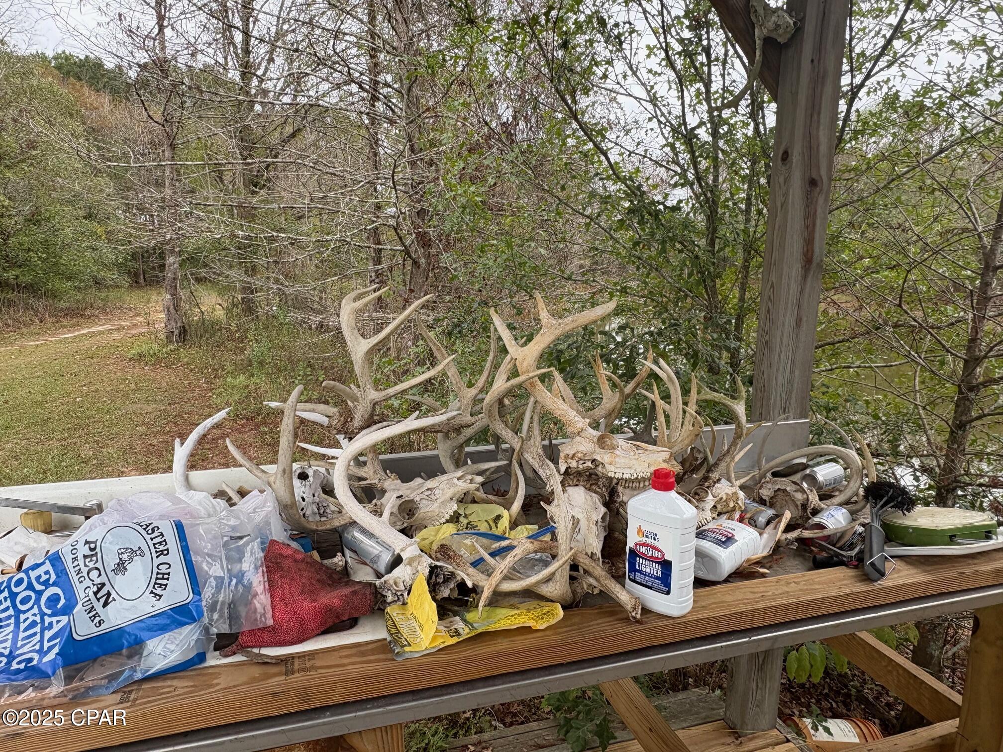 main property photo 71