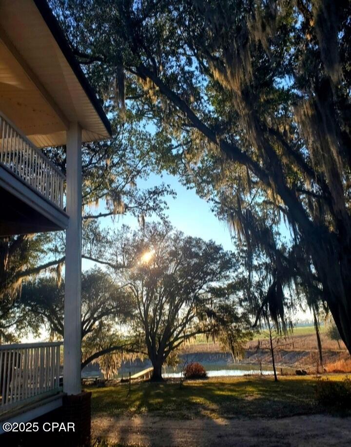 main property photo 71