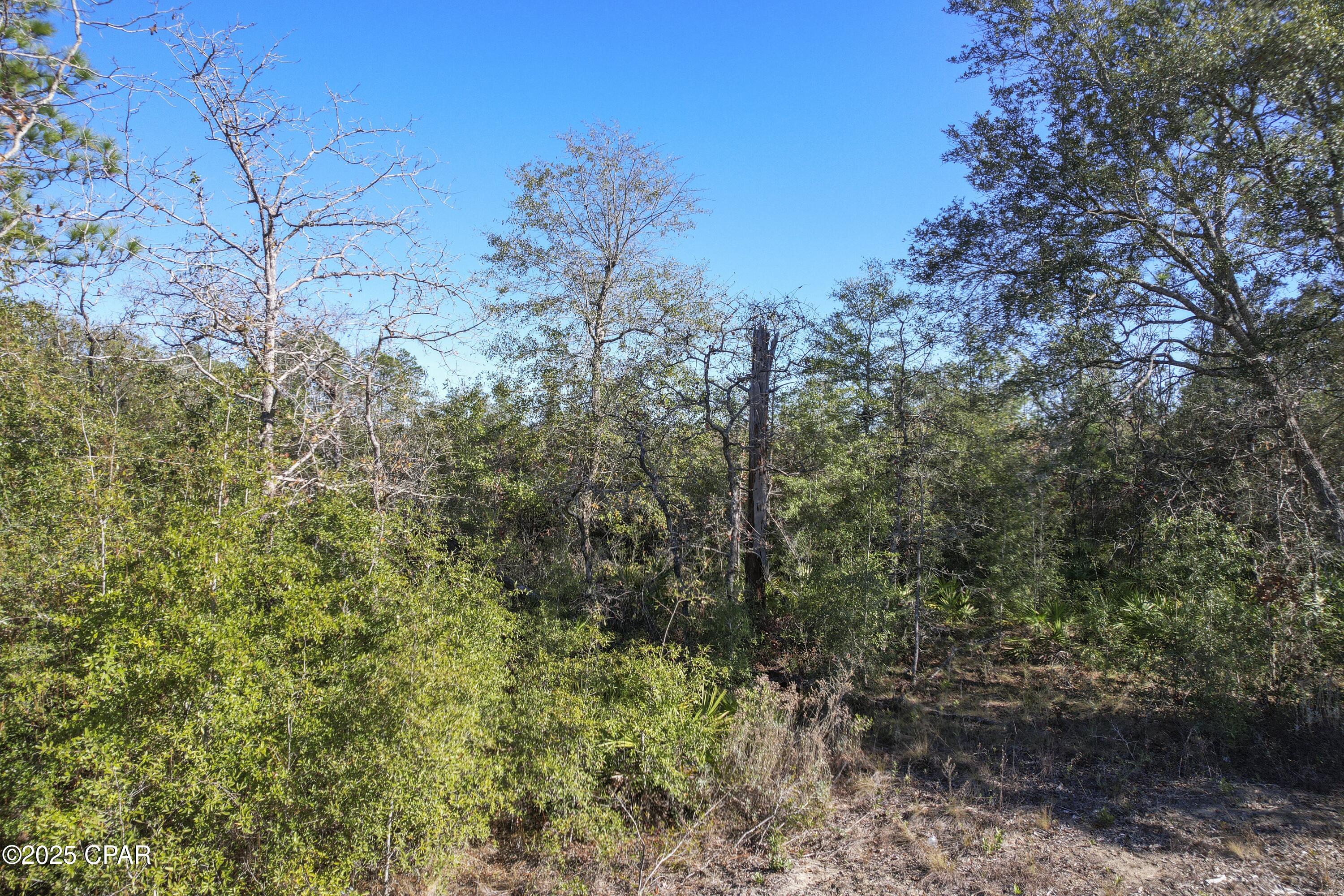 main property photo 10