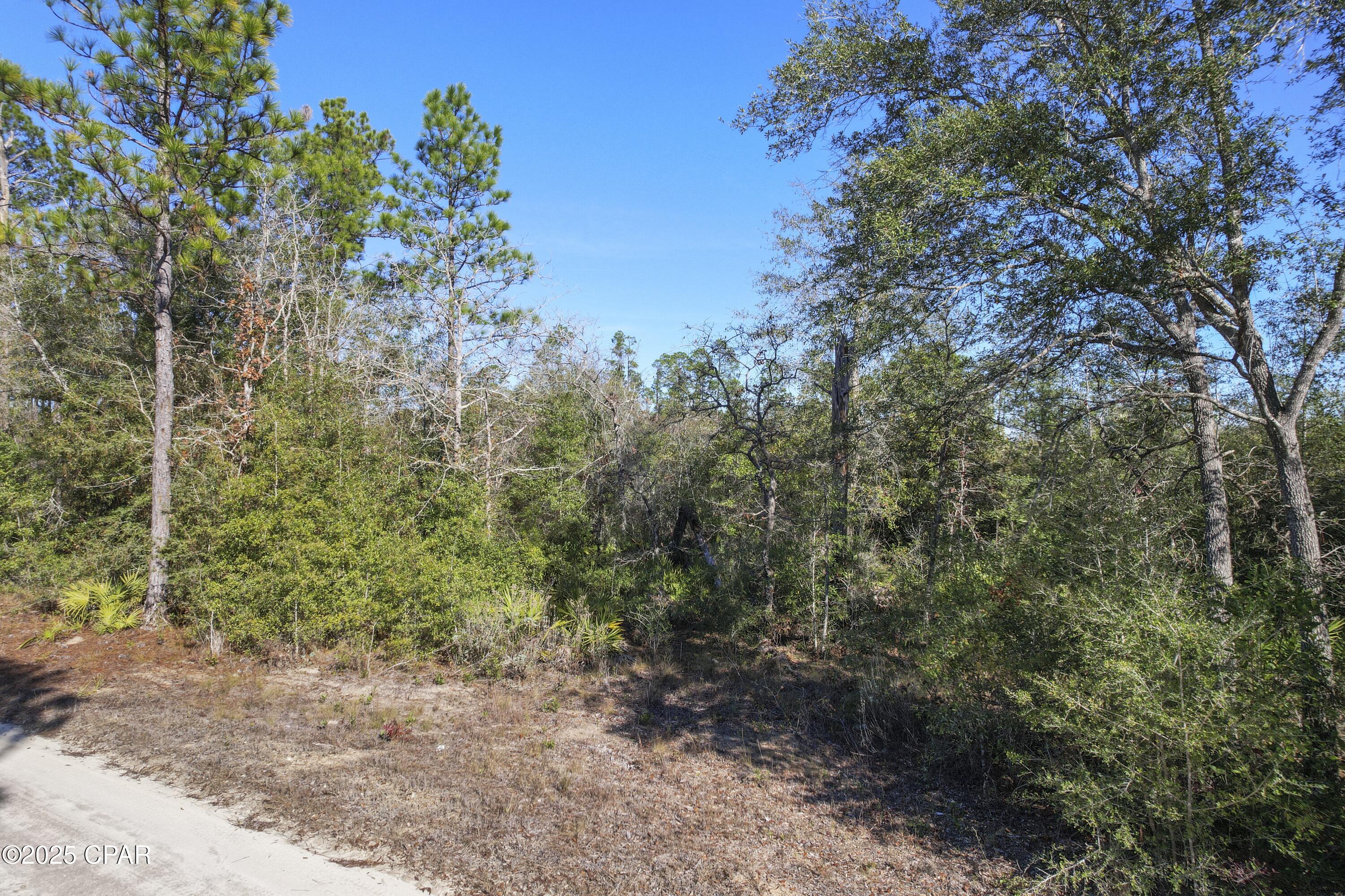 main property photo 11