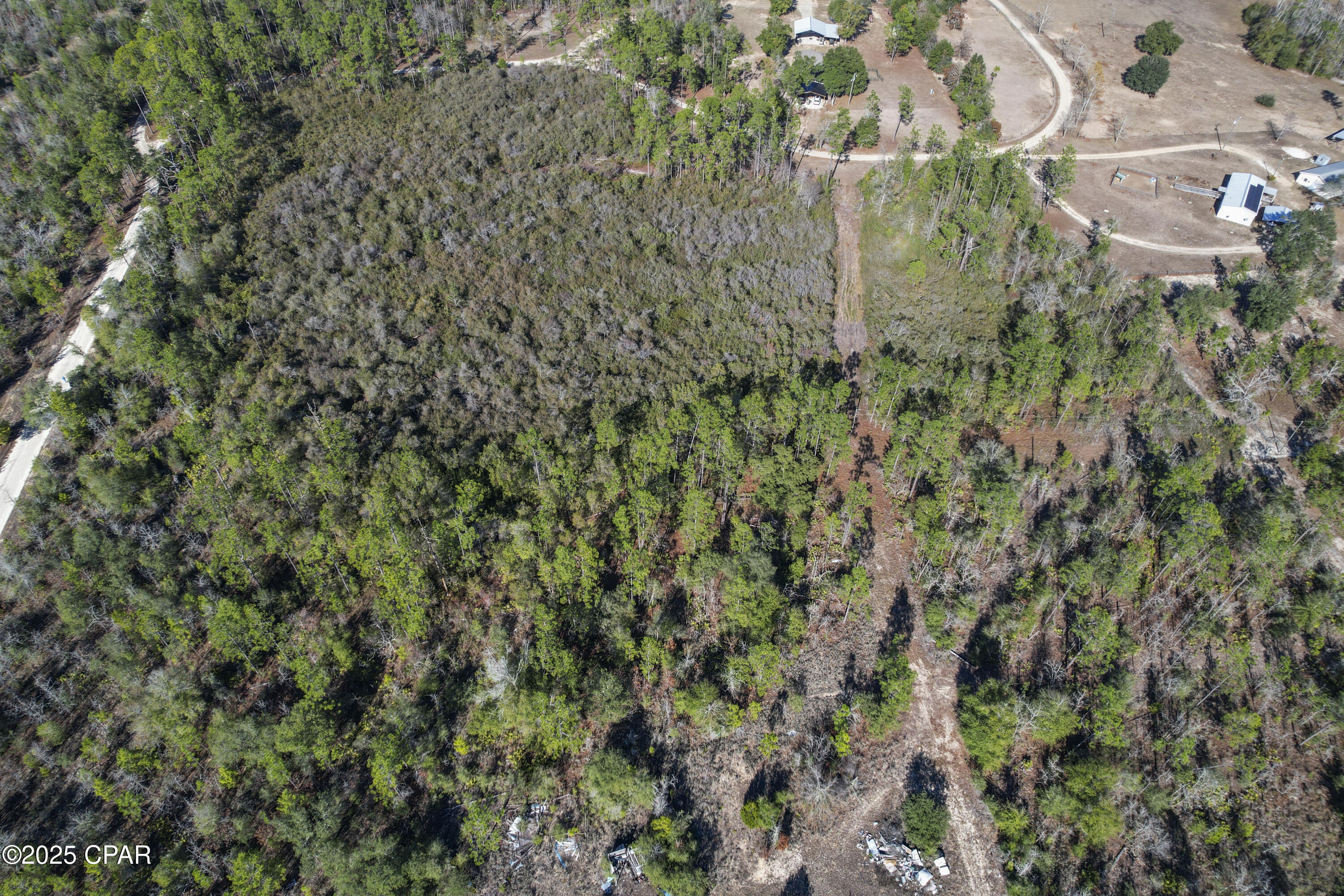 main property photo 13