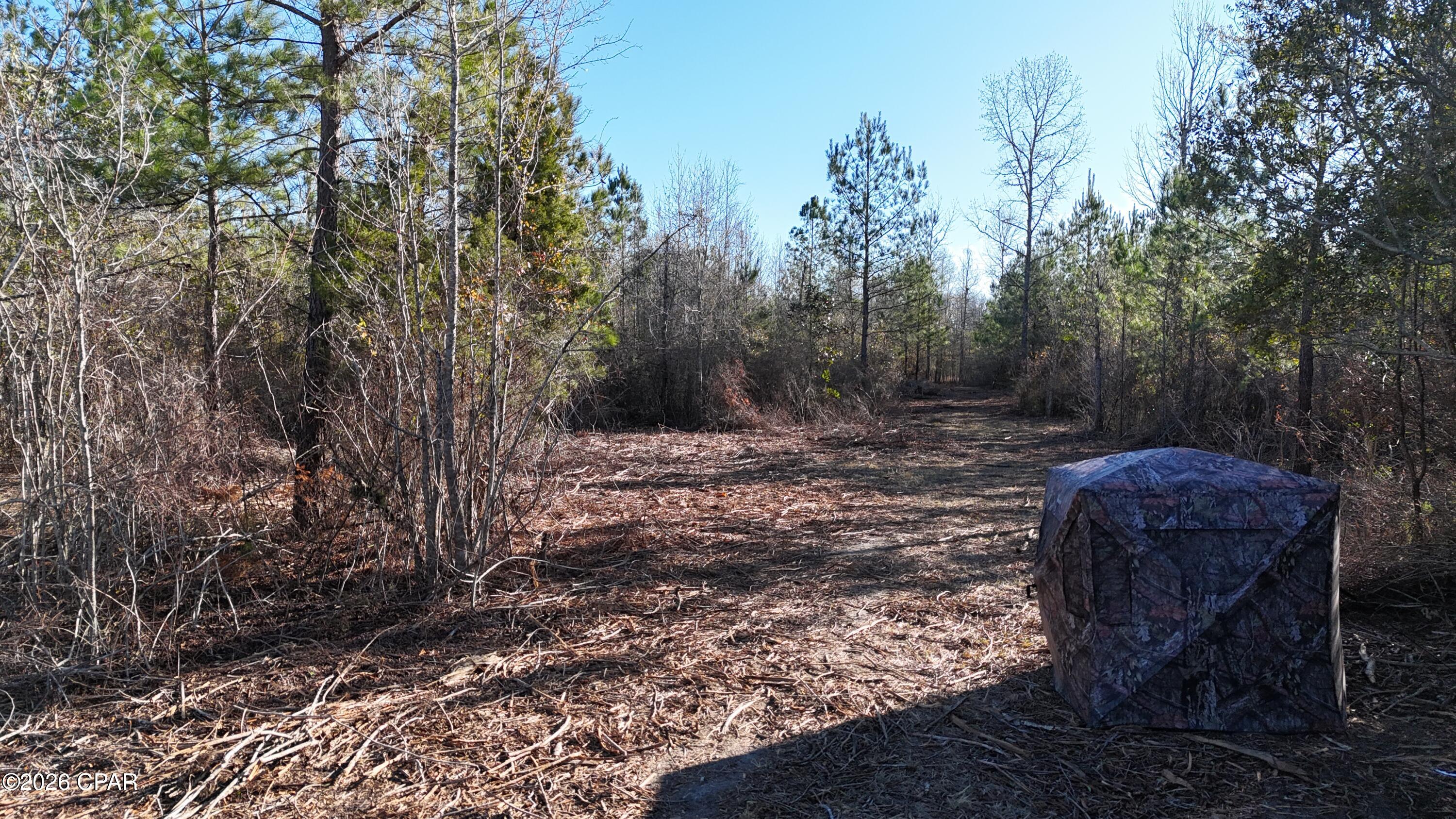 main property photo 9