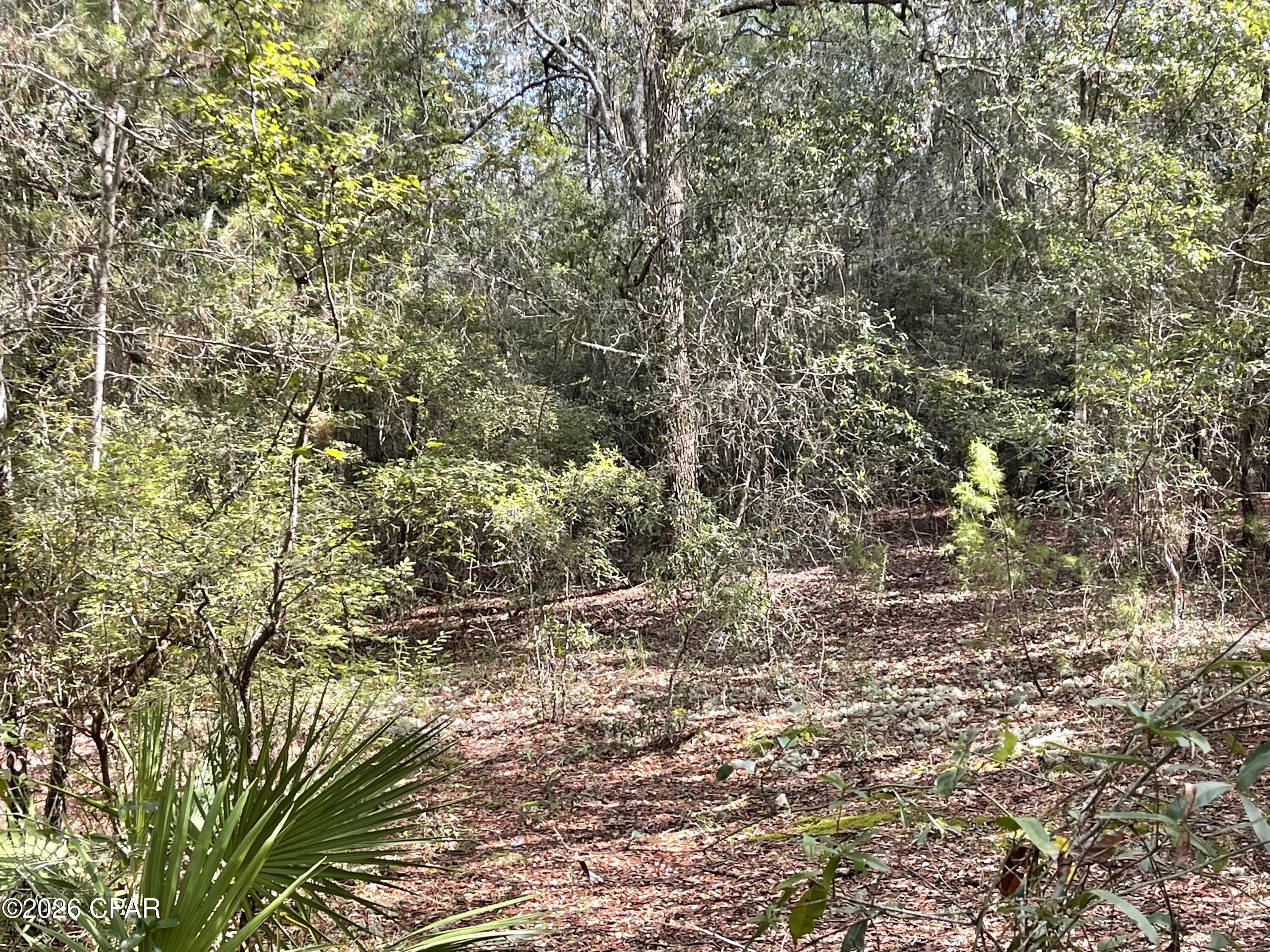 main property photo 8