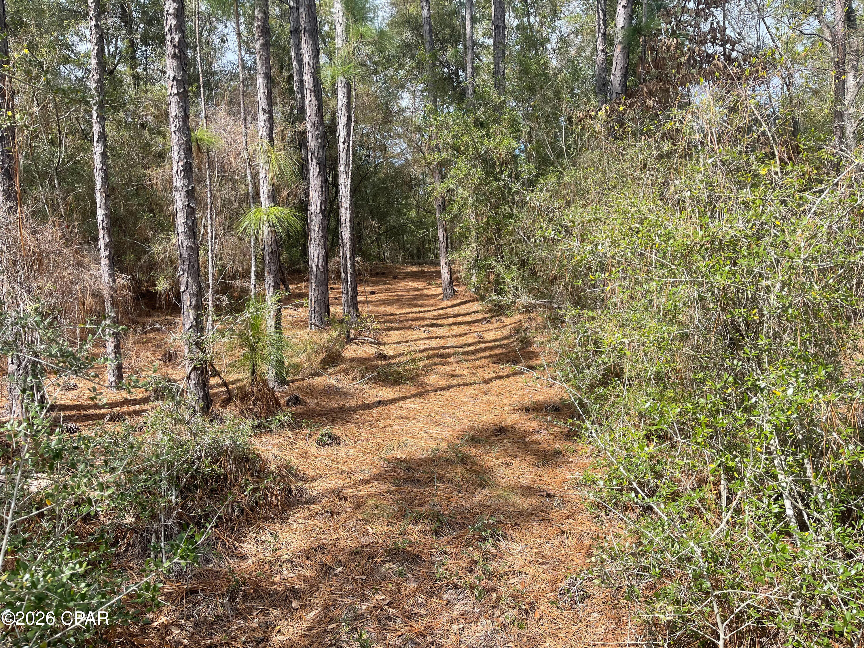 main property photo 12