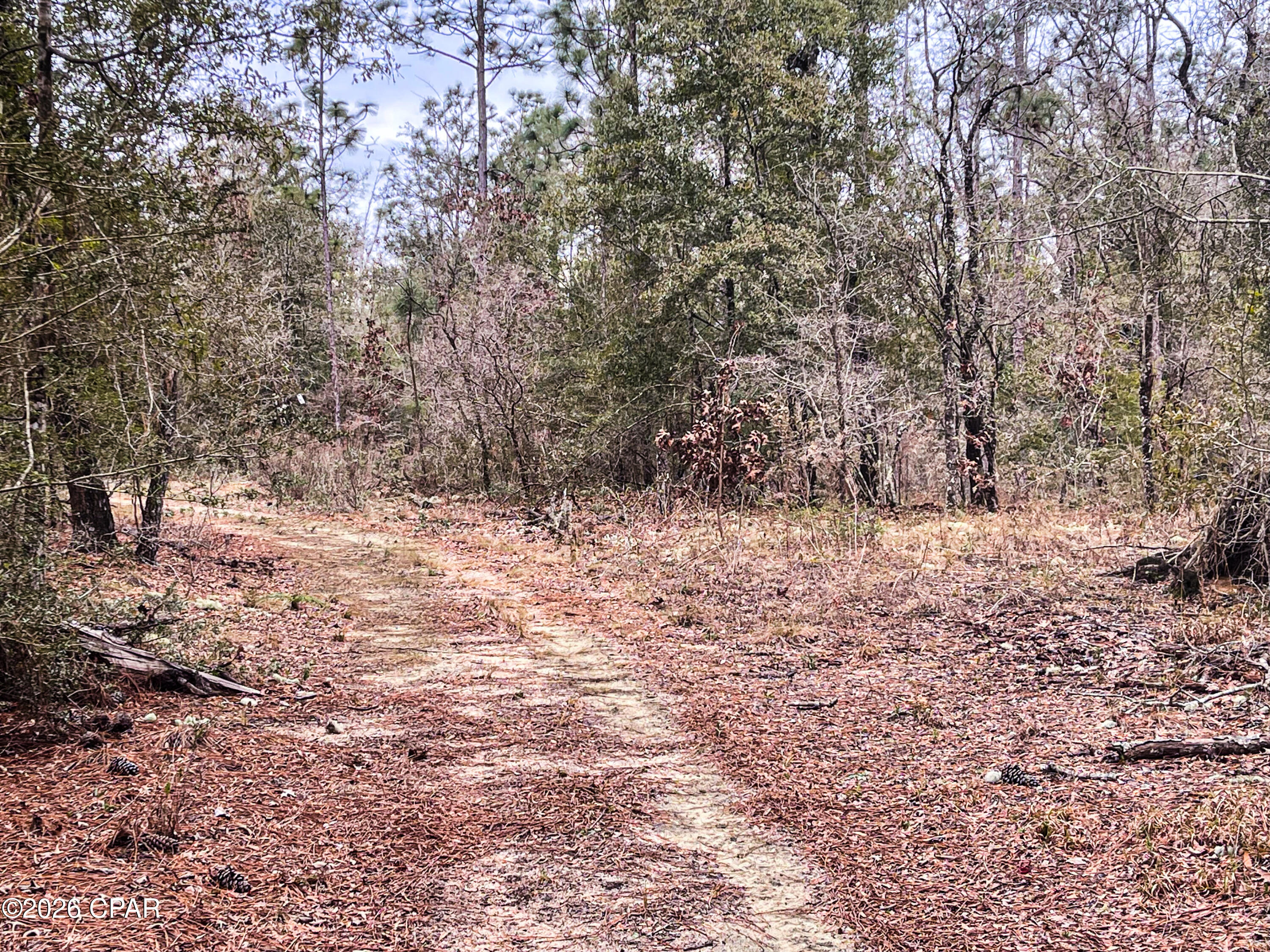 main property photo 7