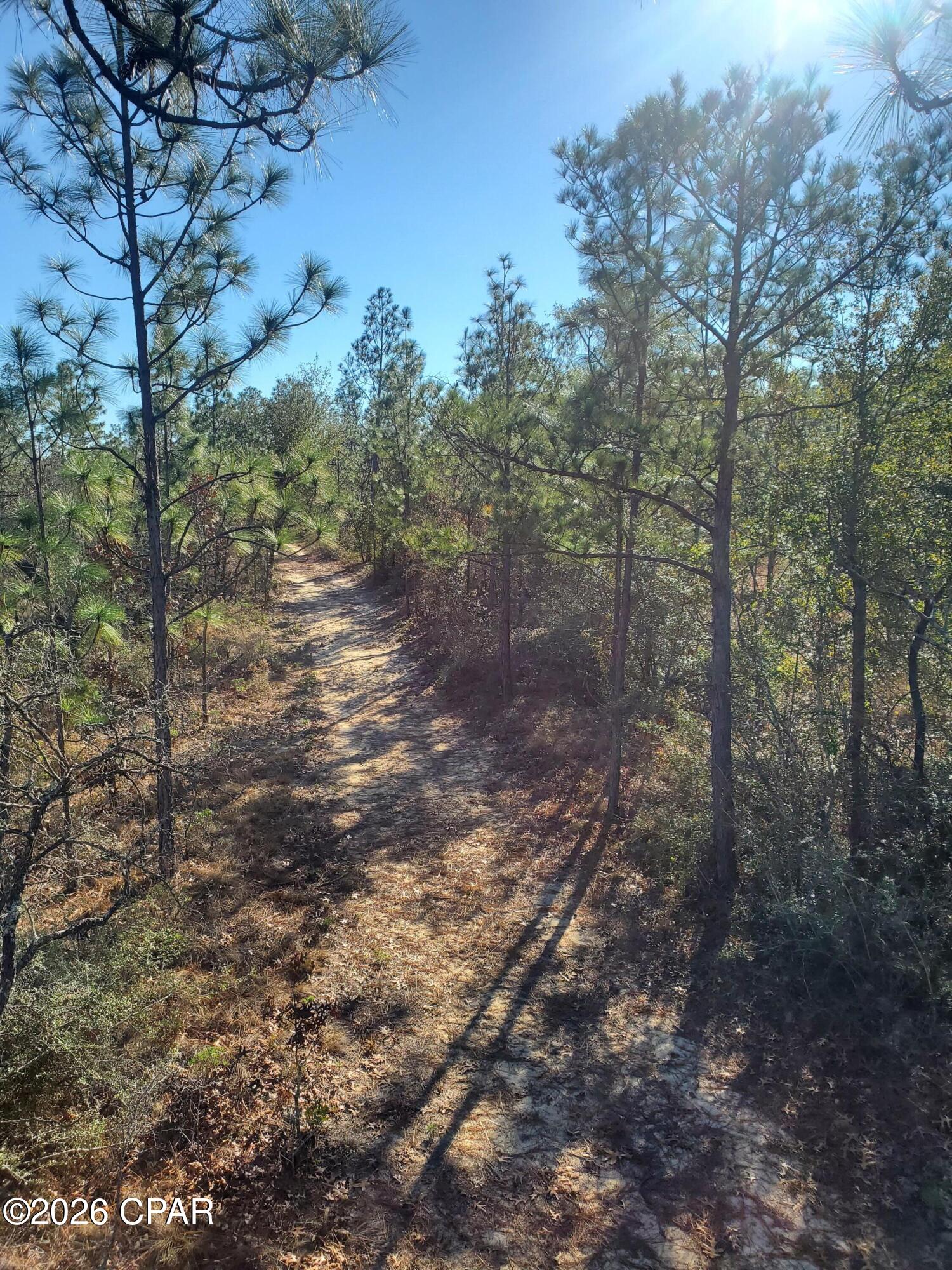 main property photo 15