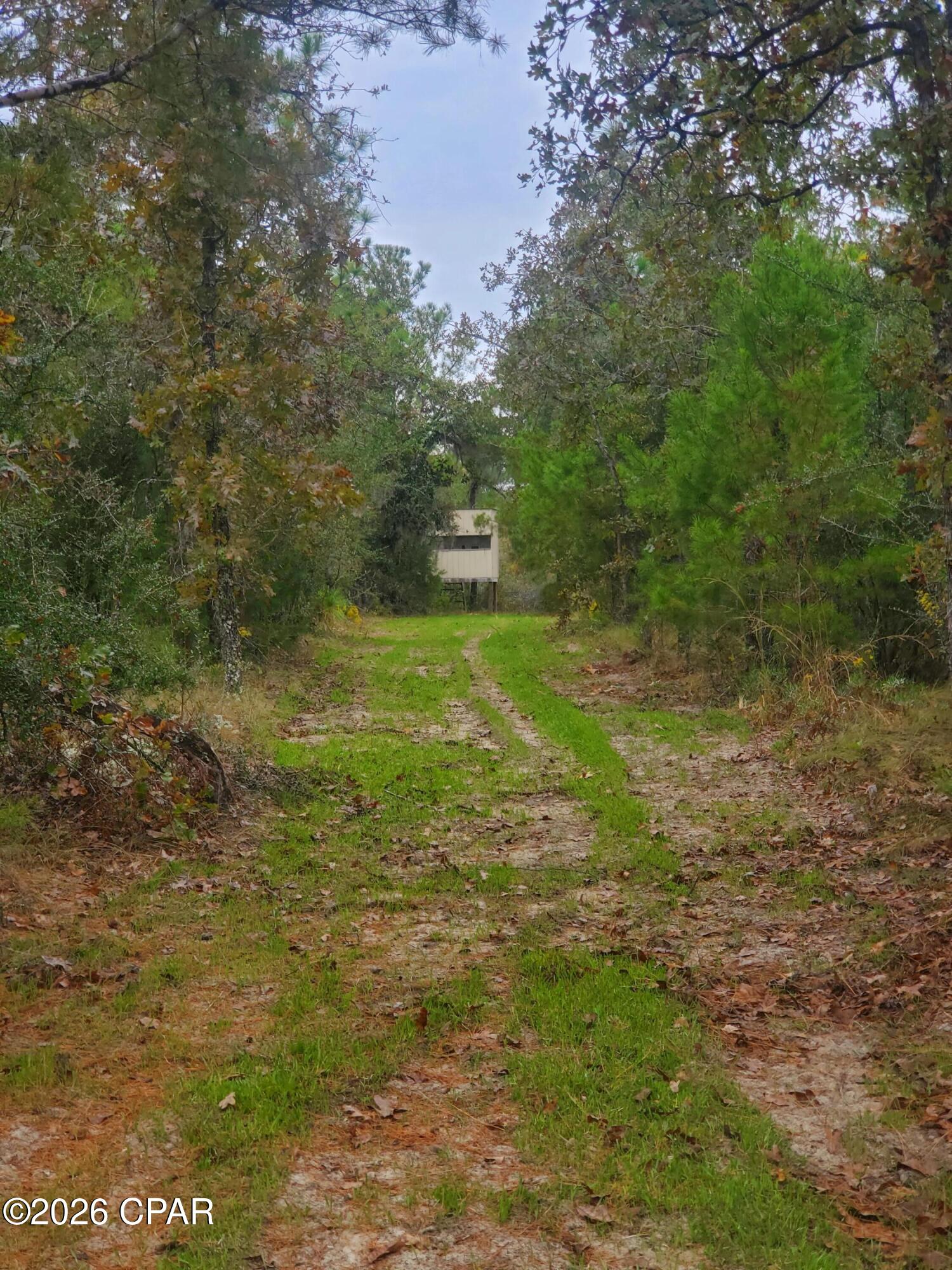 main property photo 16