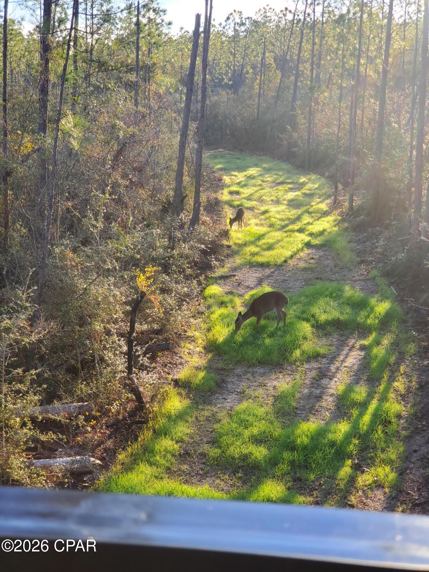 main property photo 18