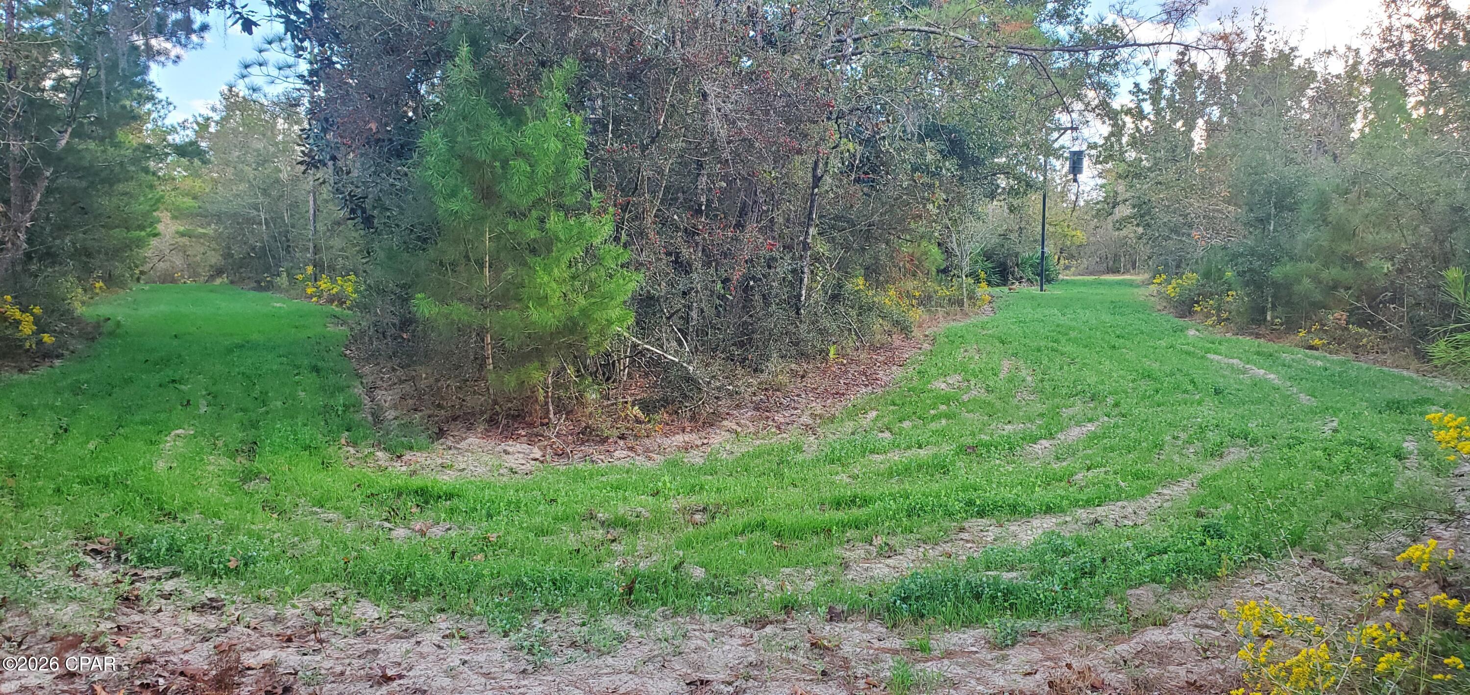 main property photo 24