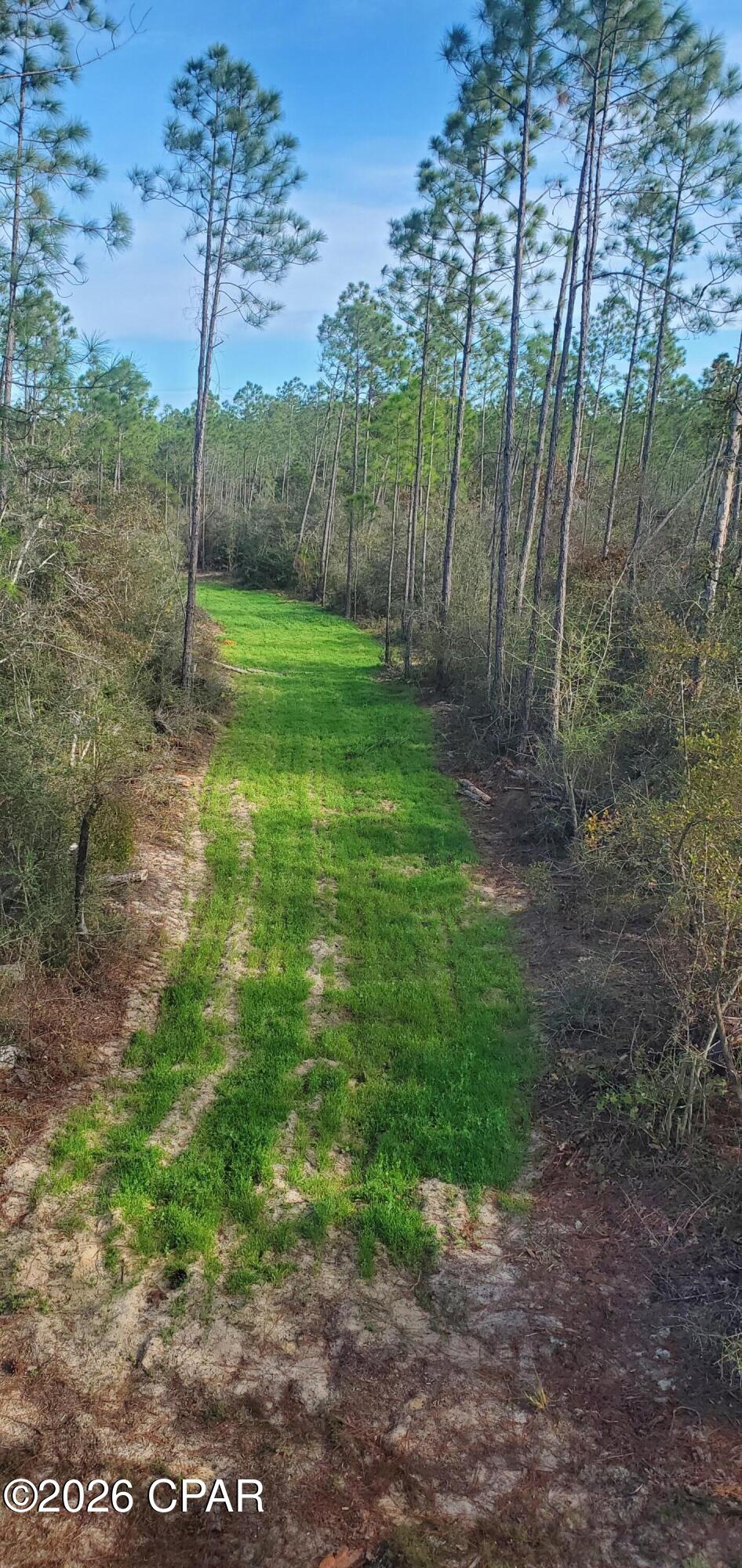 main property photo 25
