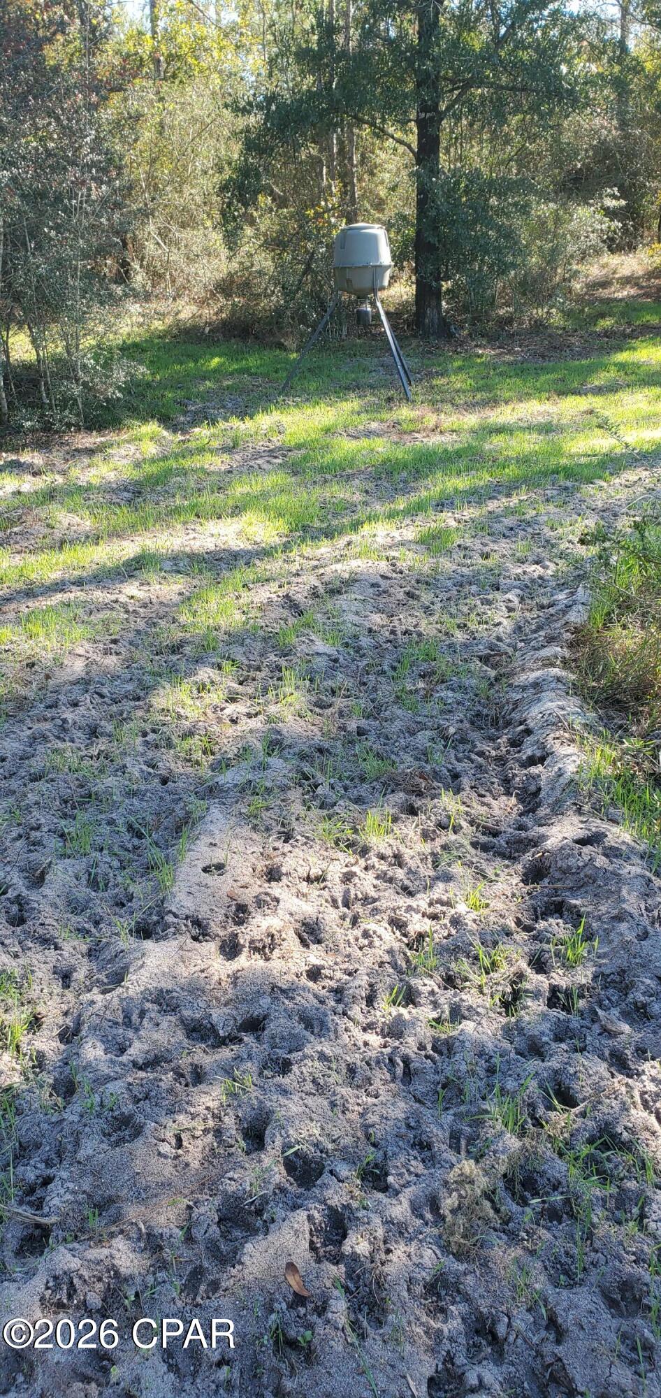 main property photo 26