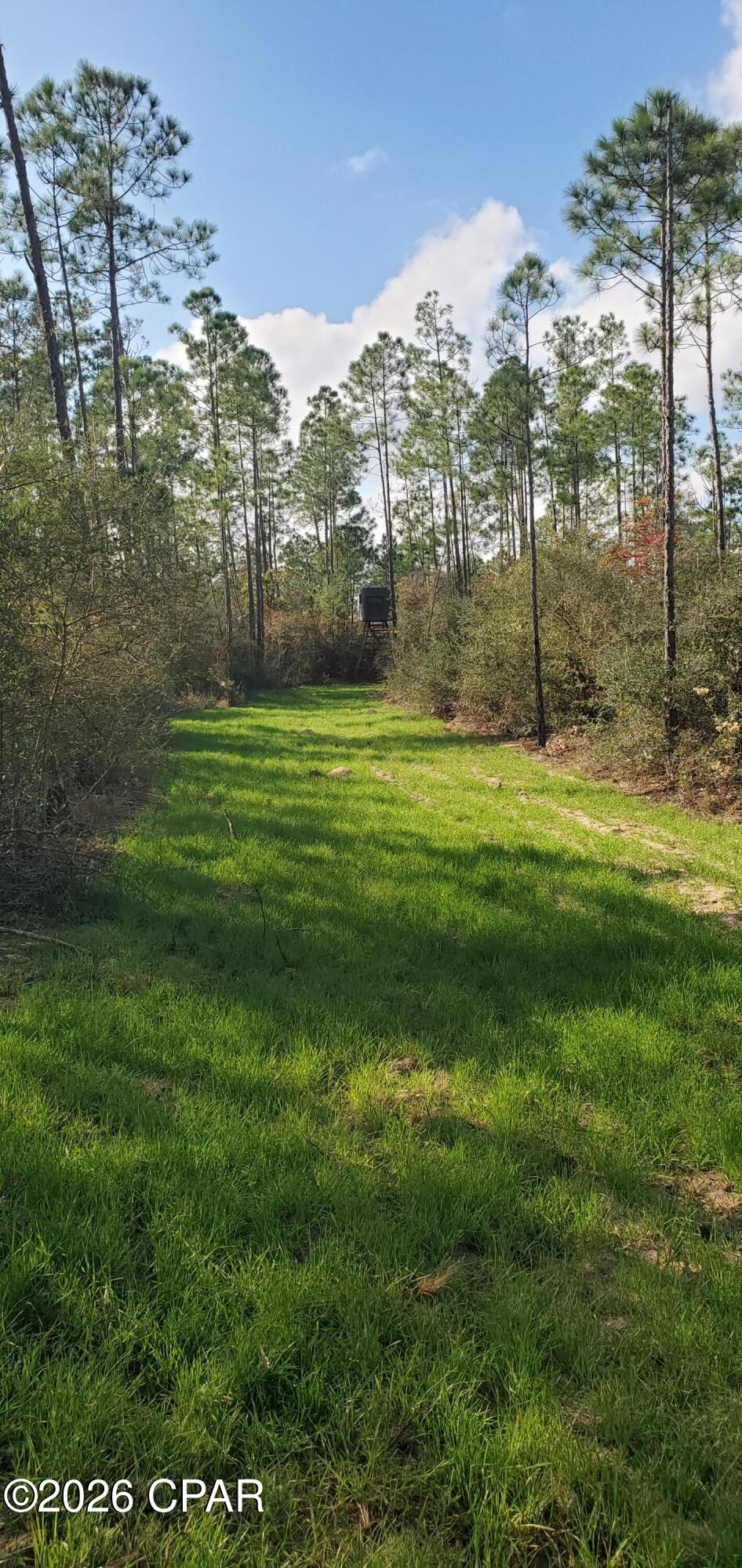 main property photo 28