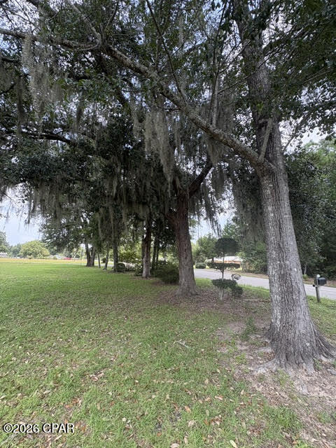 main property photo 59