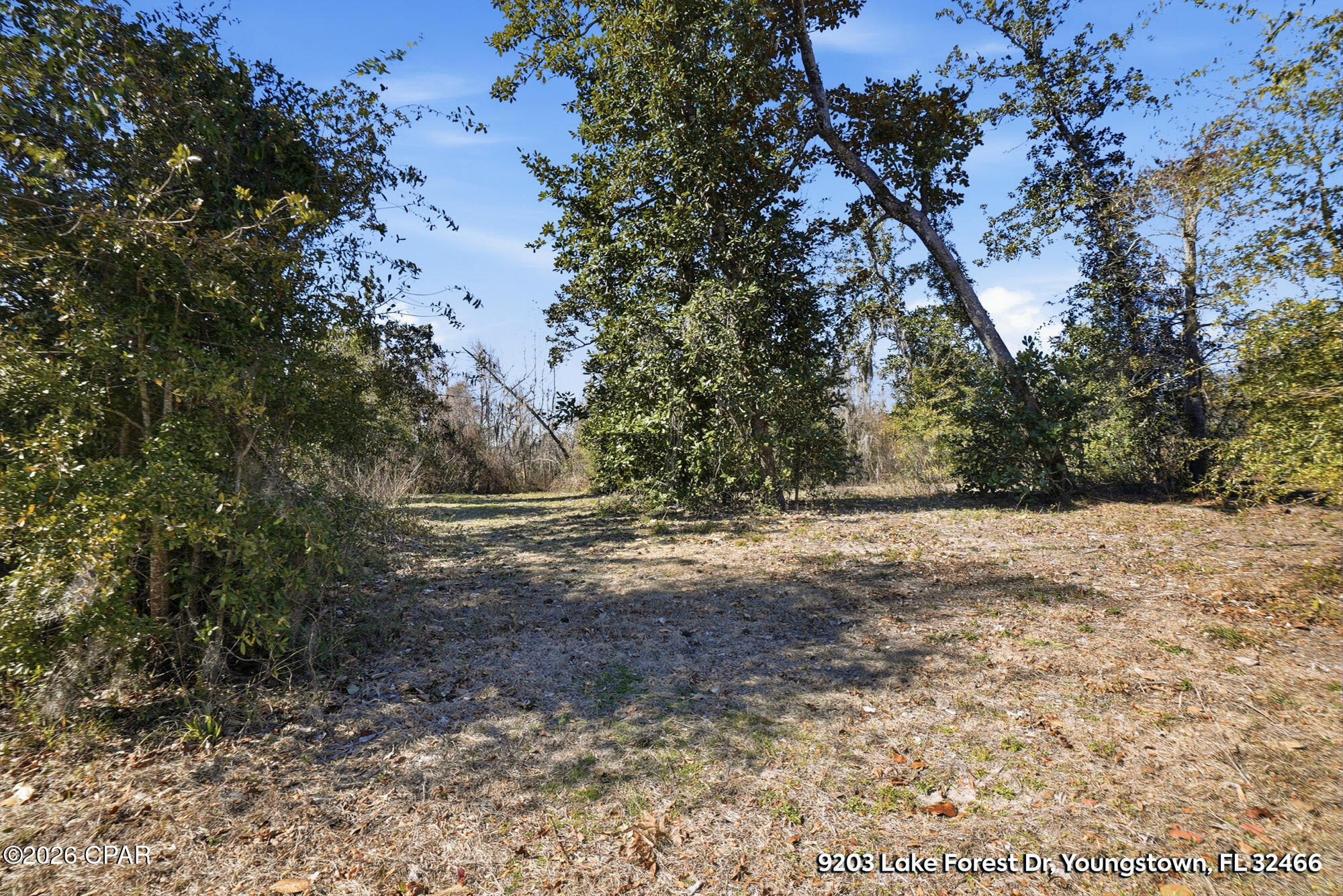 main property photo 12